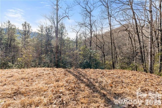 28 Trillium Lane, Black Mountain, NC, 28711