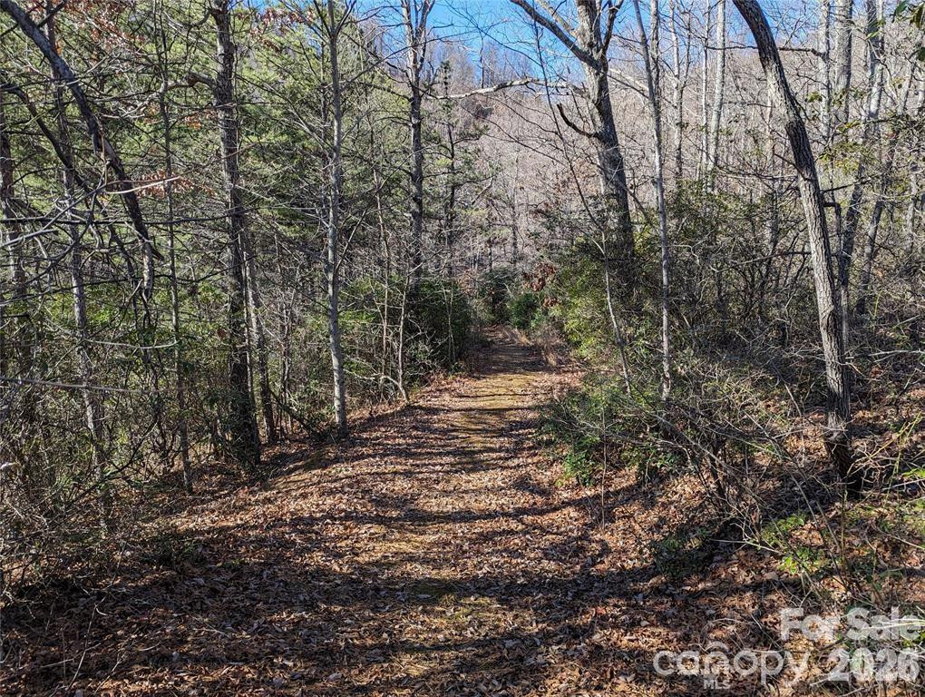 28 Trillium Lane #C-1 - Photo 19