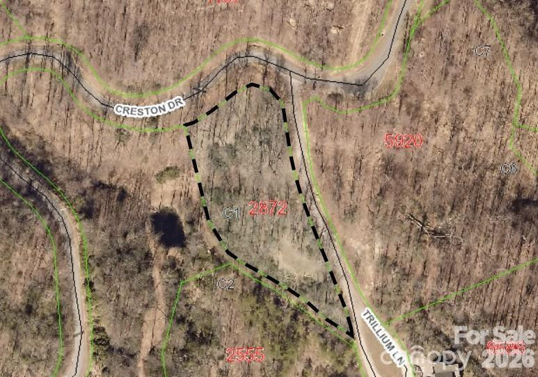 28 Trillium Lane #C-1 - Photo 6