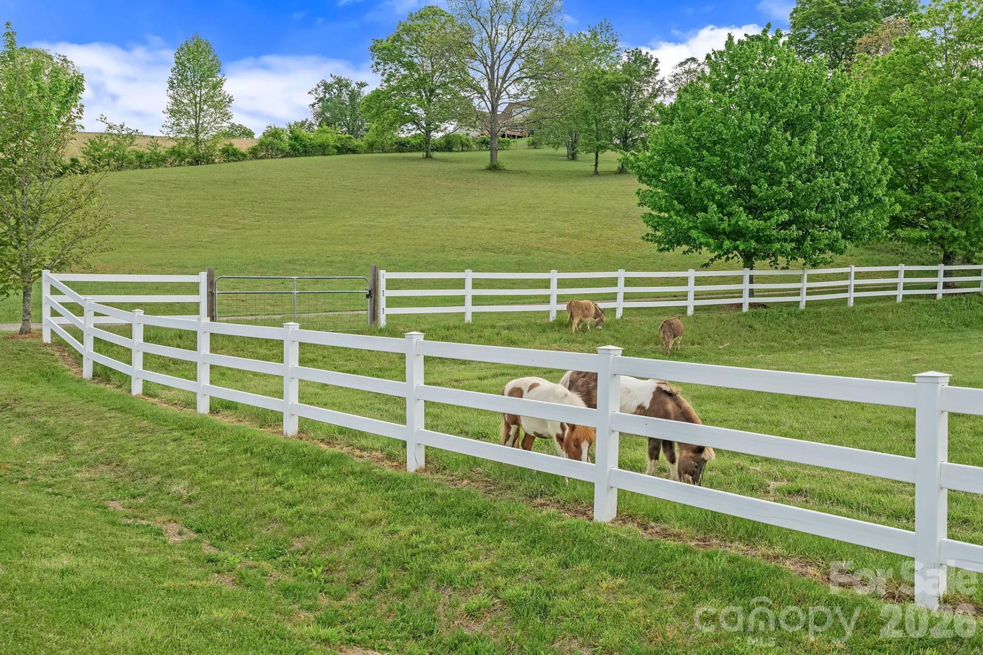 9 Whispering Meadows Drive - Photo 41