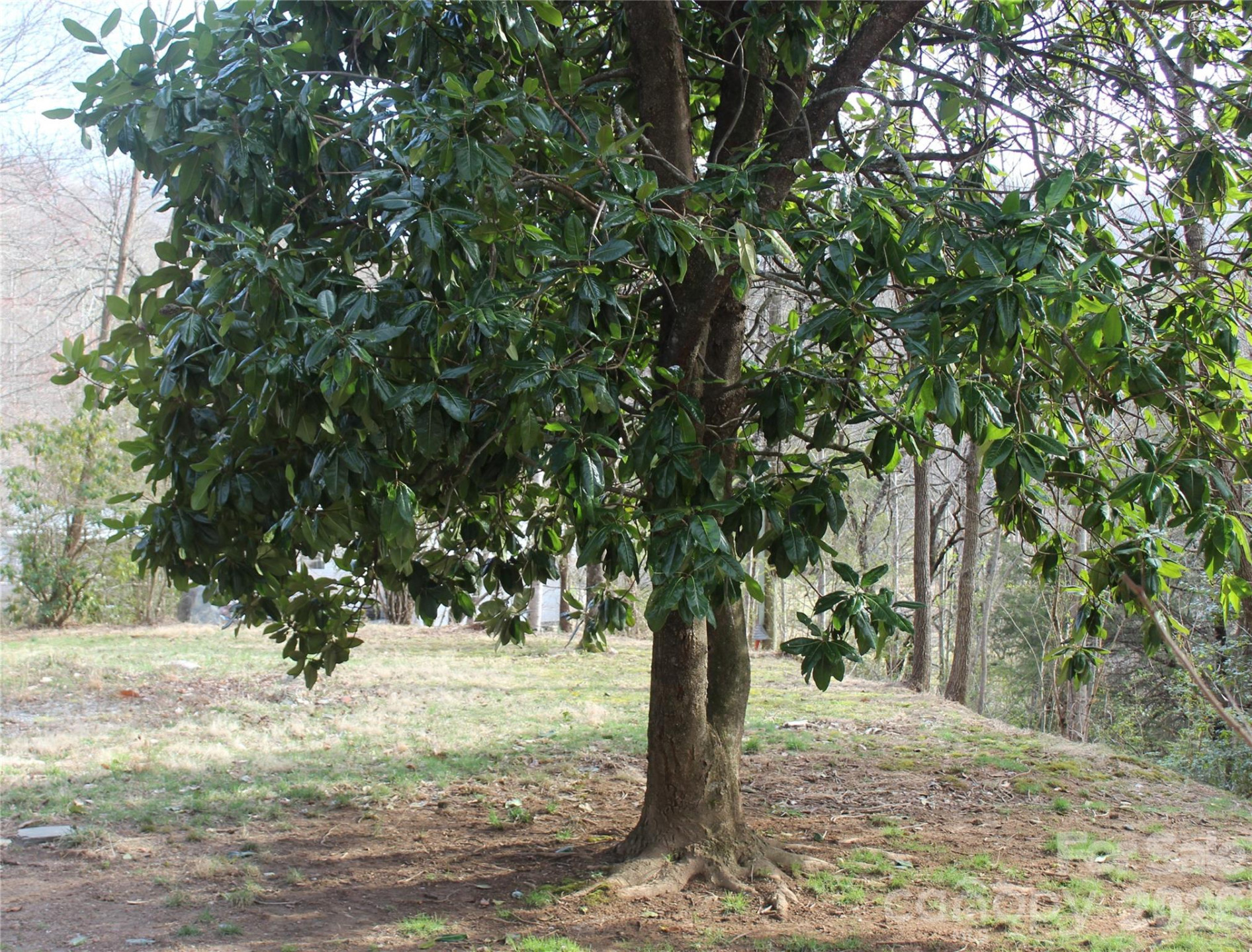 55 Celestial Lane - Photo 6