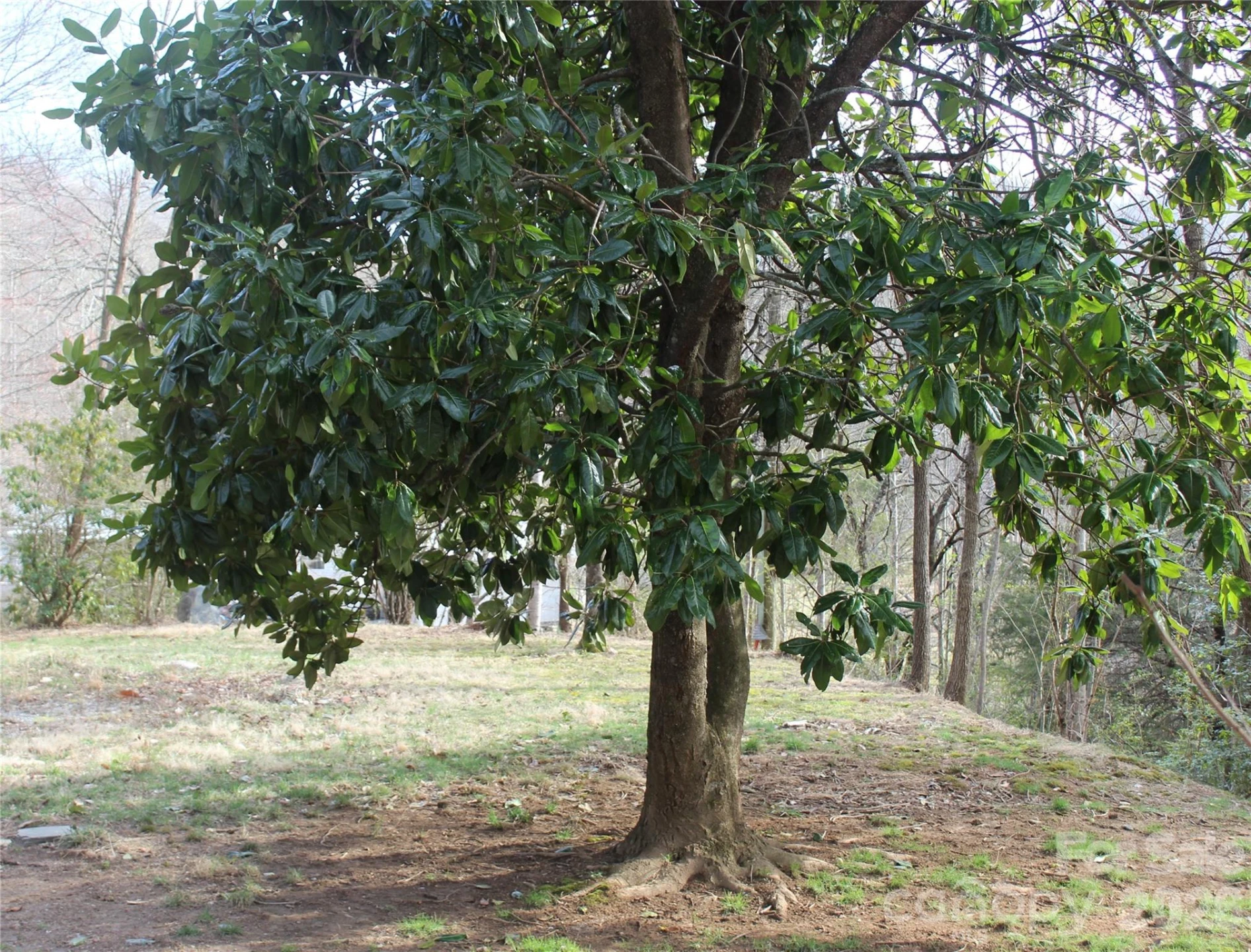 55 Celestial Lane - Photo 6