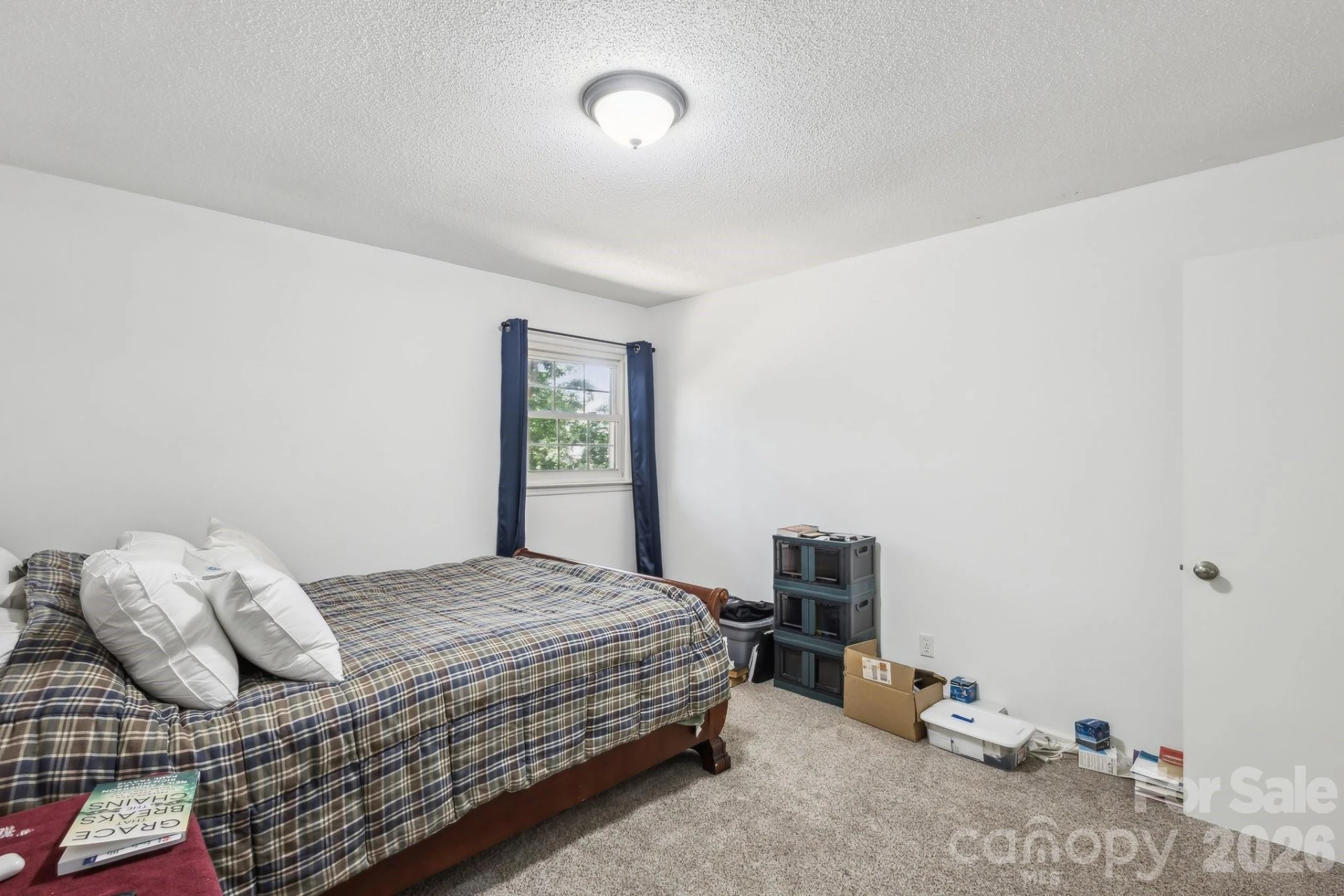 1975 Peace Road - Photo 19