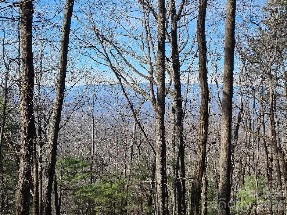 0 Roper Hollow Road - Photo 11