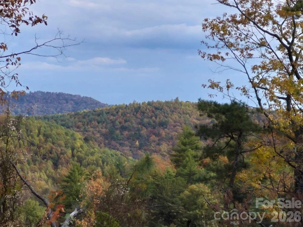 0 Roper Hollow Road - Photo 12