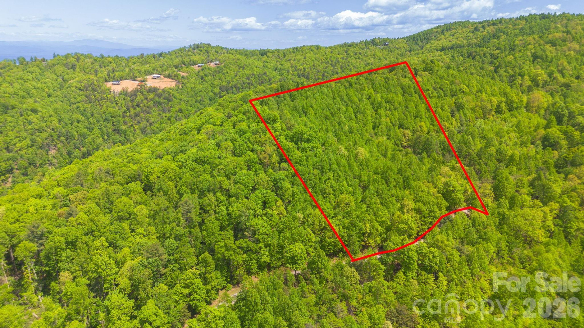 0 Roper Hollow Road - Photo 4