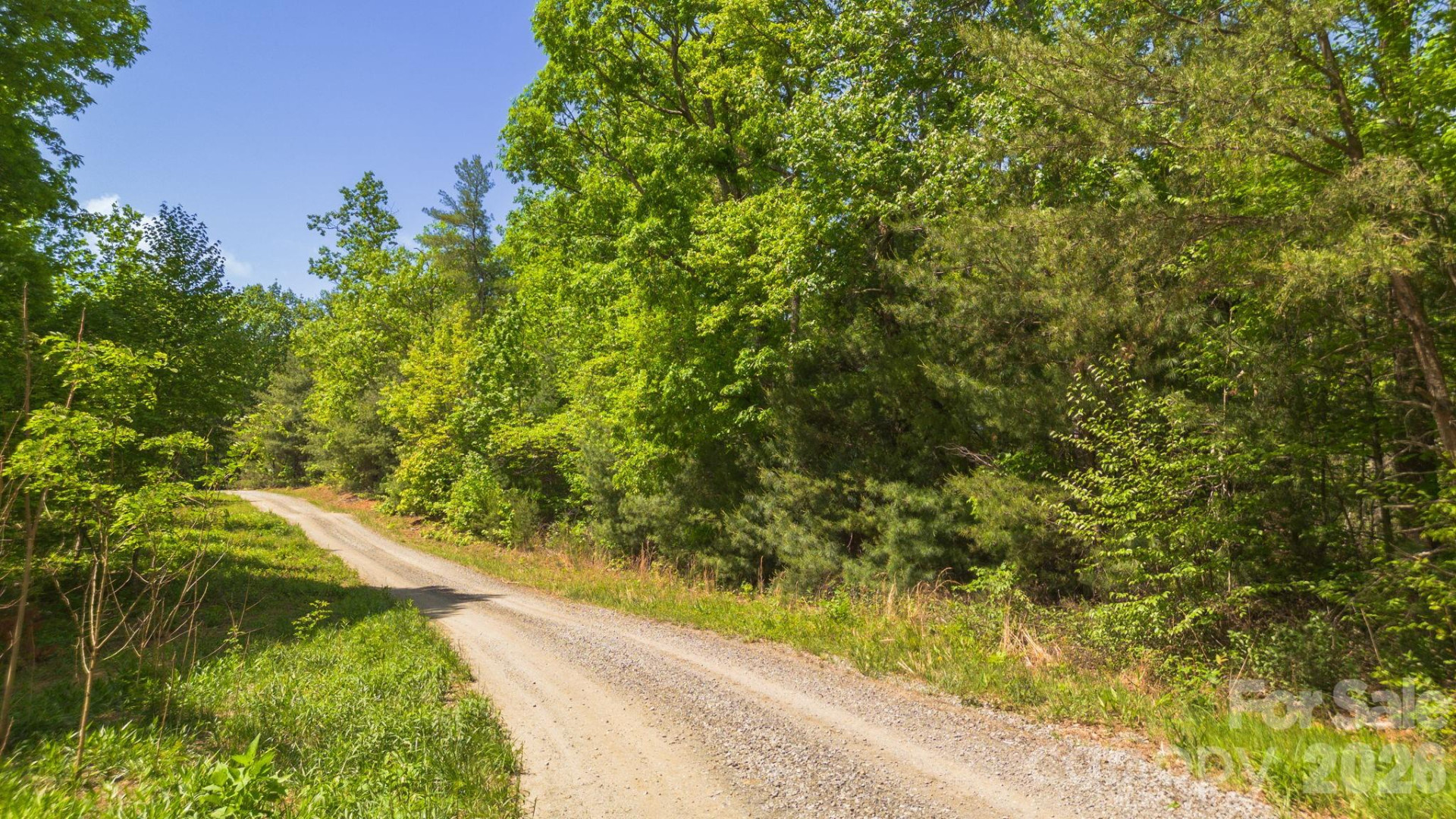 0 Roper Hollow Road - Photo 5