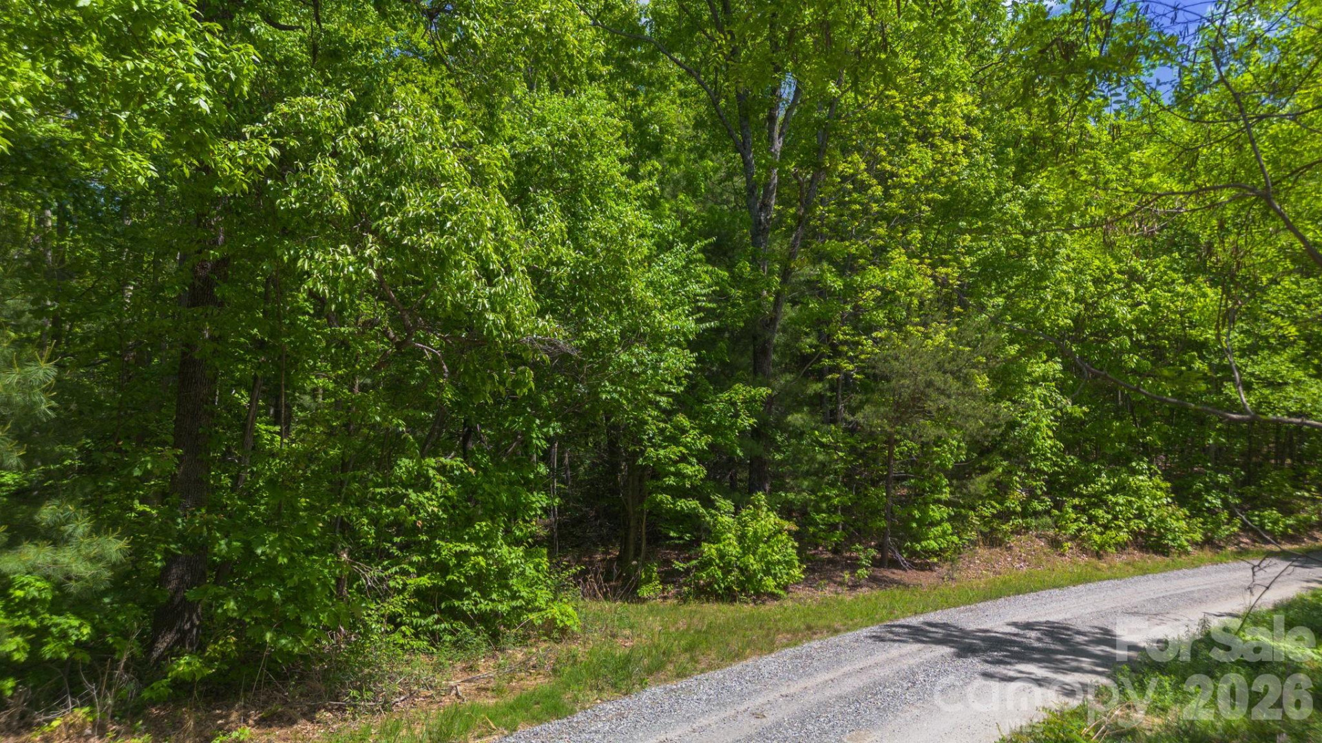 0 Roper Hollow Road - Photo 6