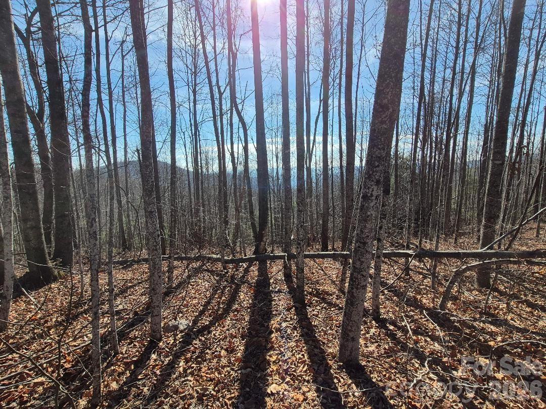 0 Roper Hollow Road - Photo 7