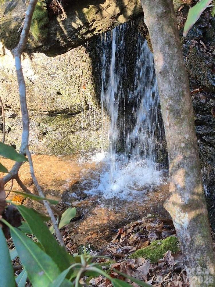 0 Roper Hollow Road - Photo 8