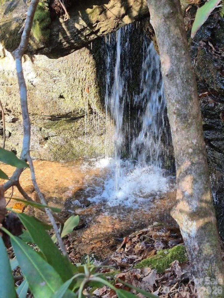 0 Roper Hollow Road - Photo 8
