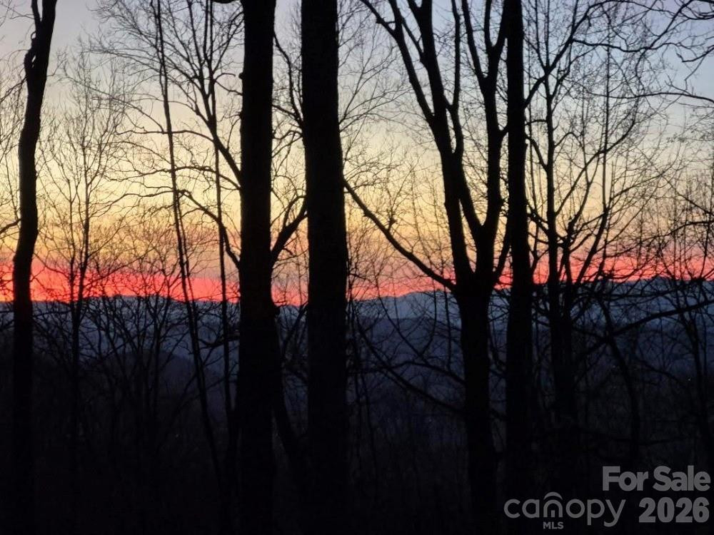 0 Roper Hollow Road - Photo 10