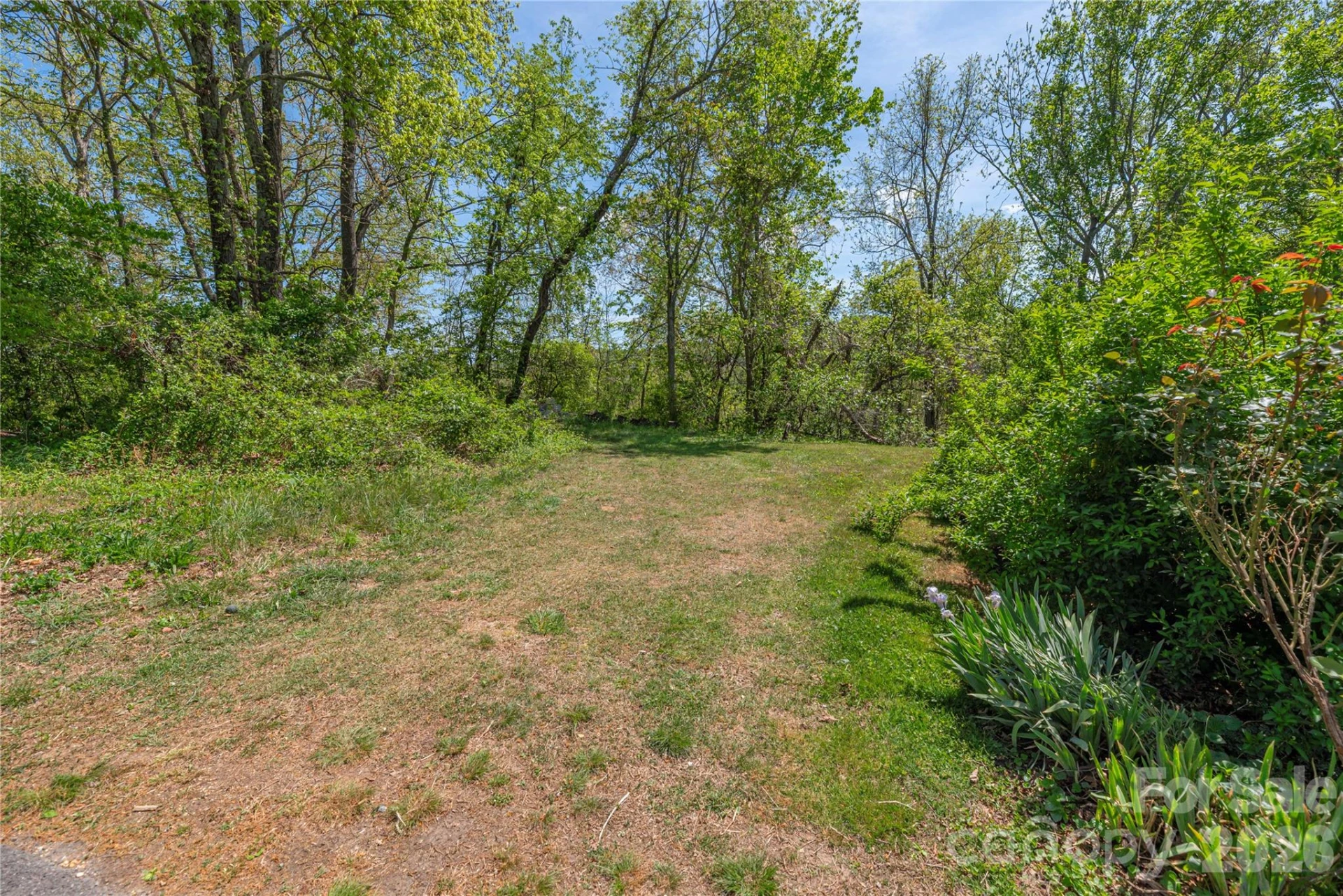 99999 Morse Drive - Photo 3
