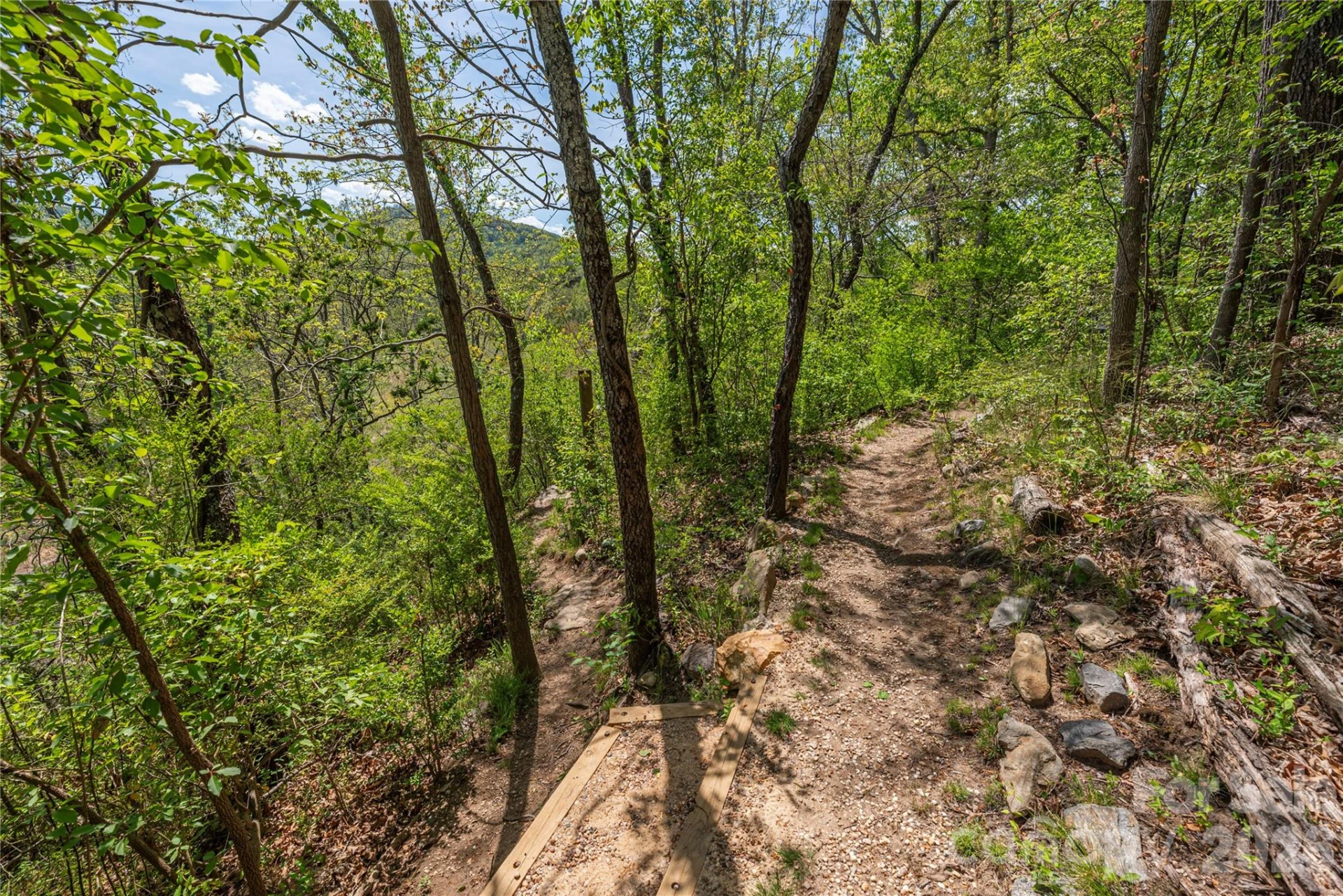 99999 Morse Drive - Photo 7