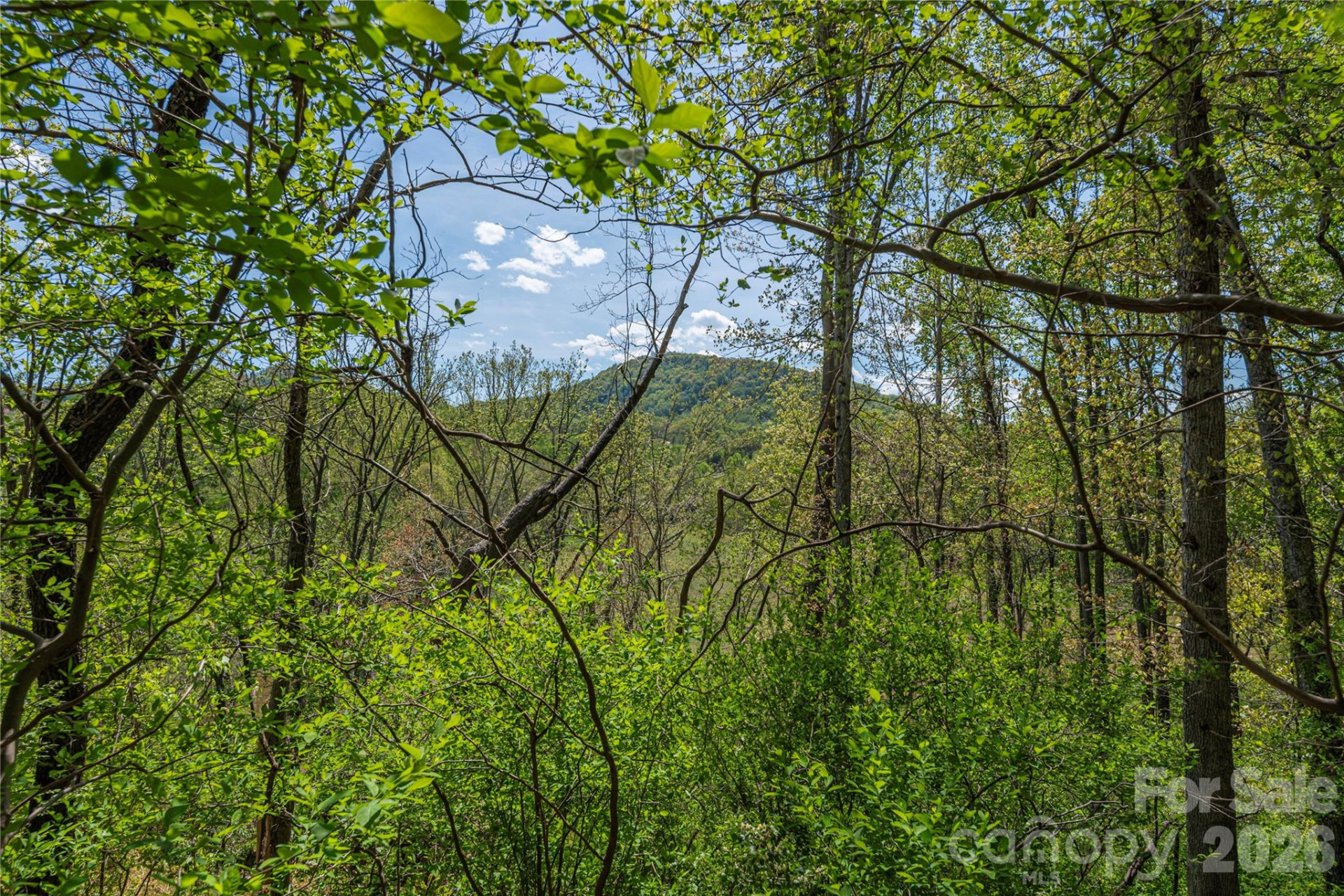 99999 Morse Drive - Photo 8