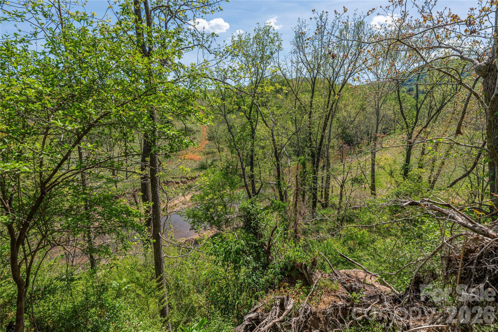 99999 Morse Drive - Photo 9