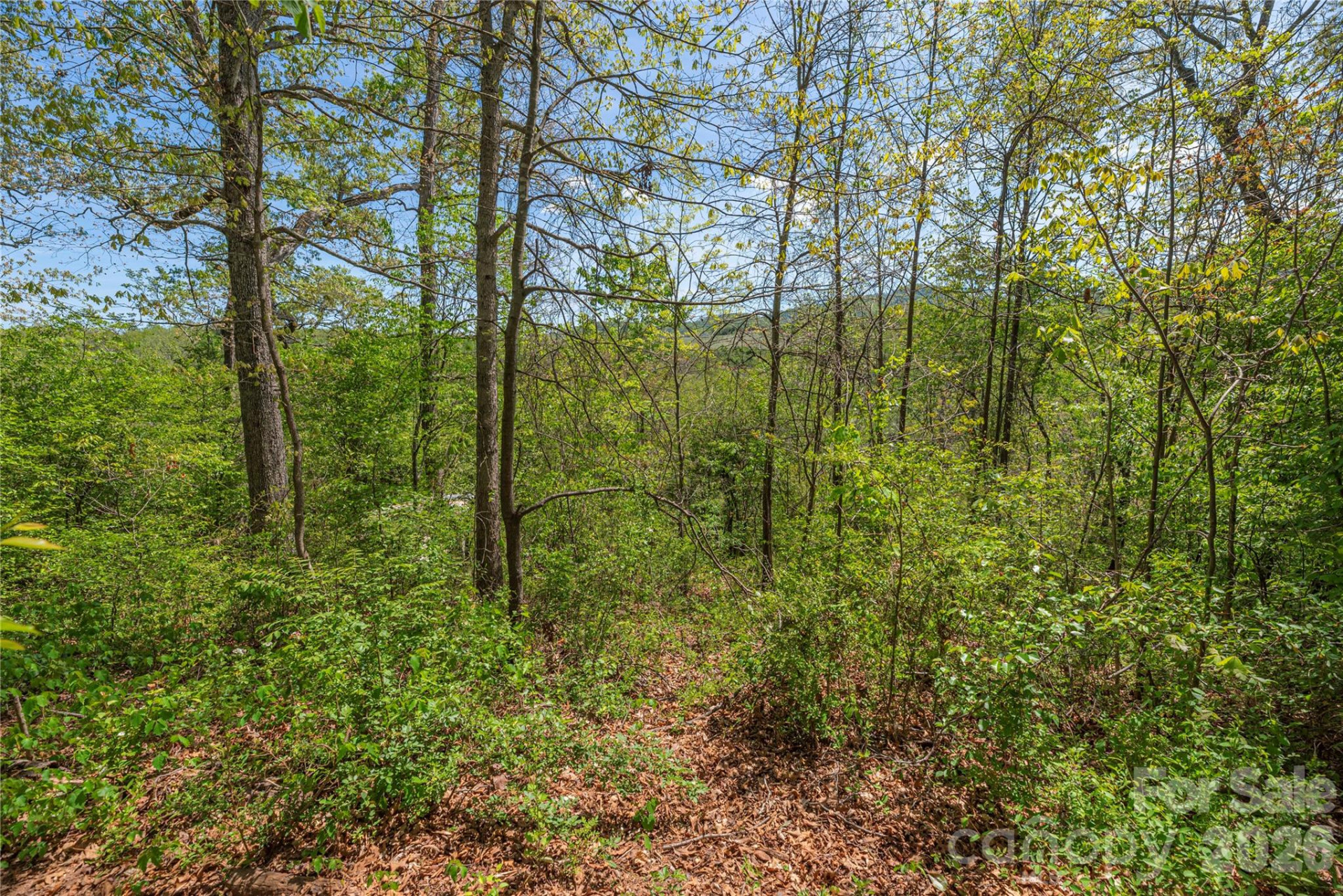 99999 Morse Drive - Photo 10
