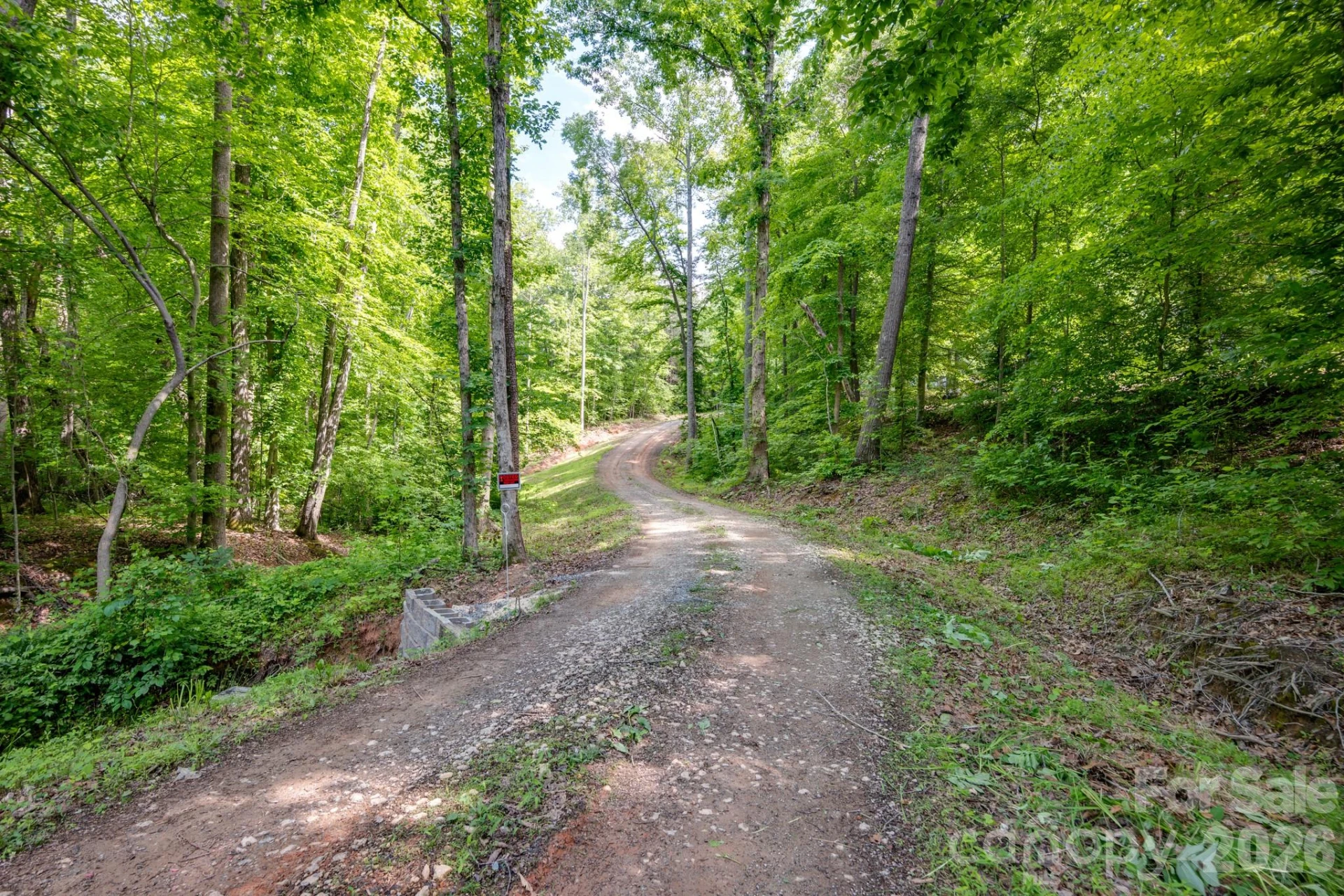 5347 Lewis Road - Photo 3