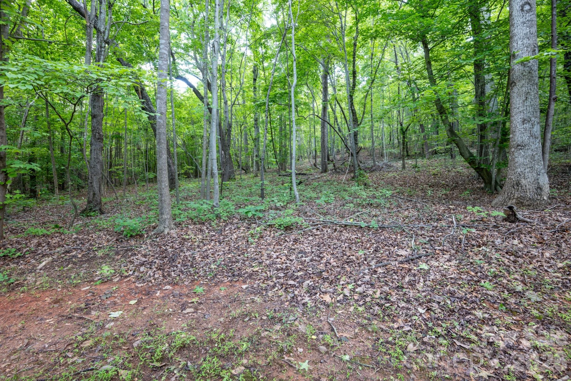 5347 Lewis Road - Photo 28