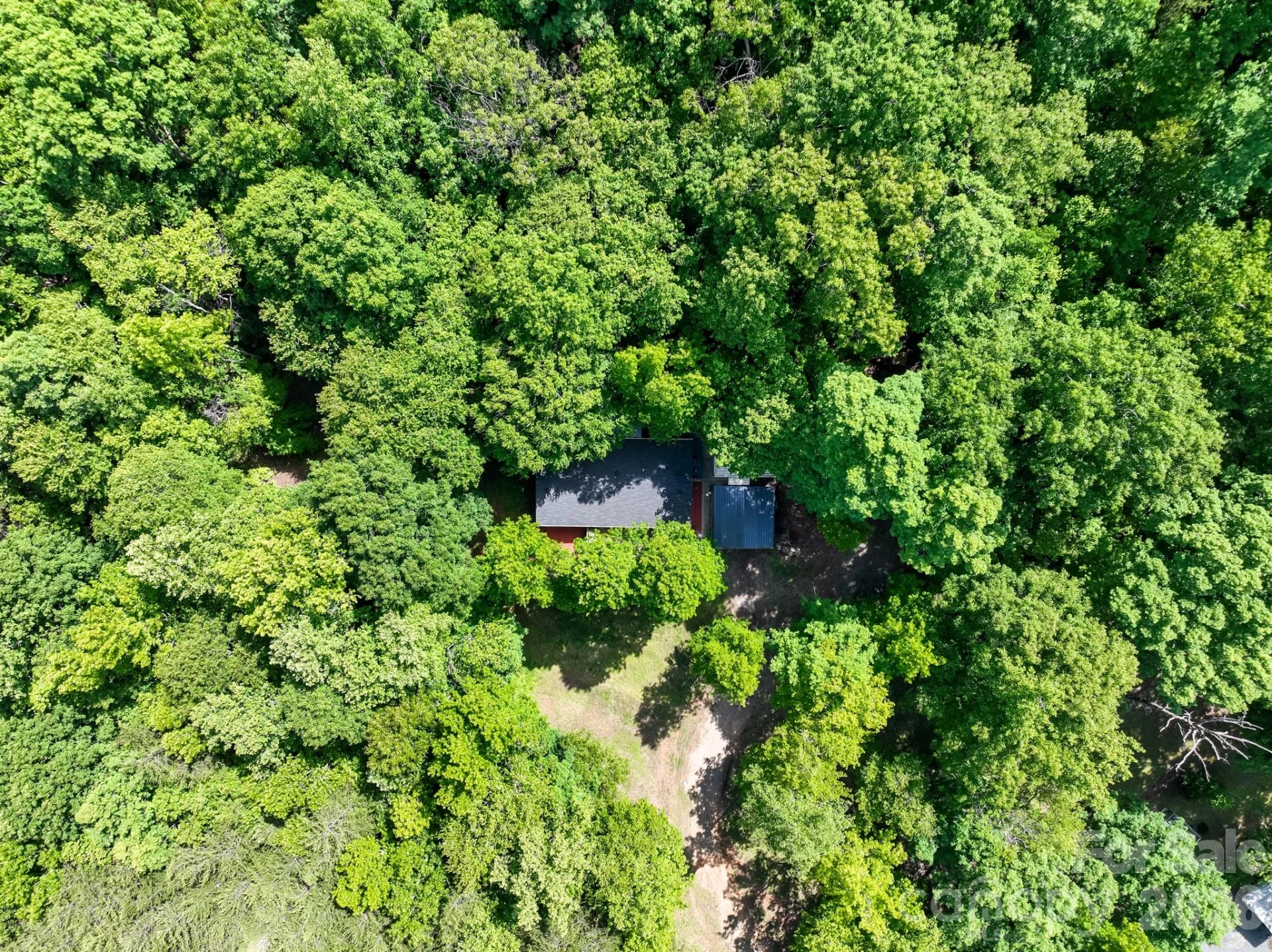 5347 Lewis Road - Photo 34
