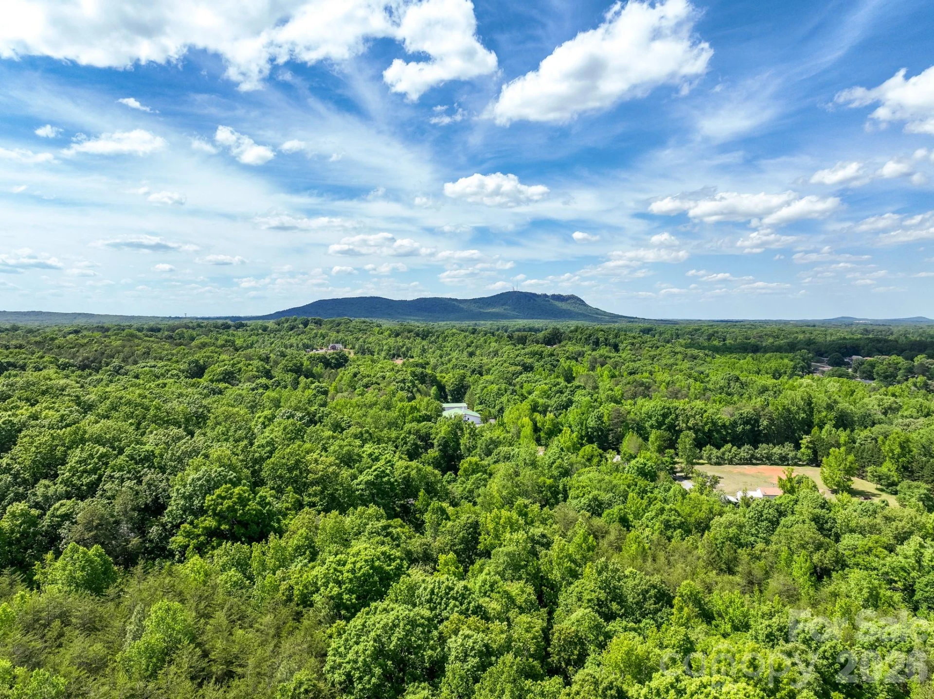 5347 Lewis Road - Photo 36