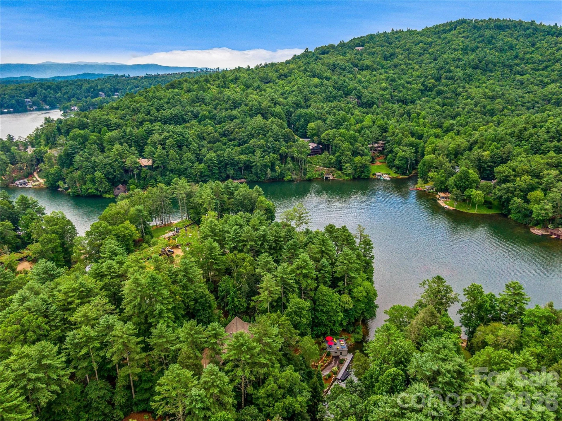 64 Bee Tree Way - Photo 2