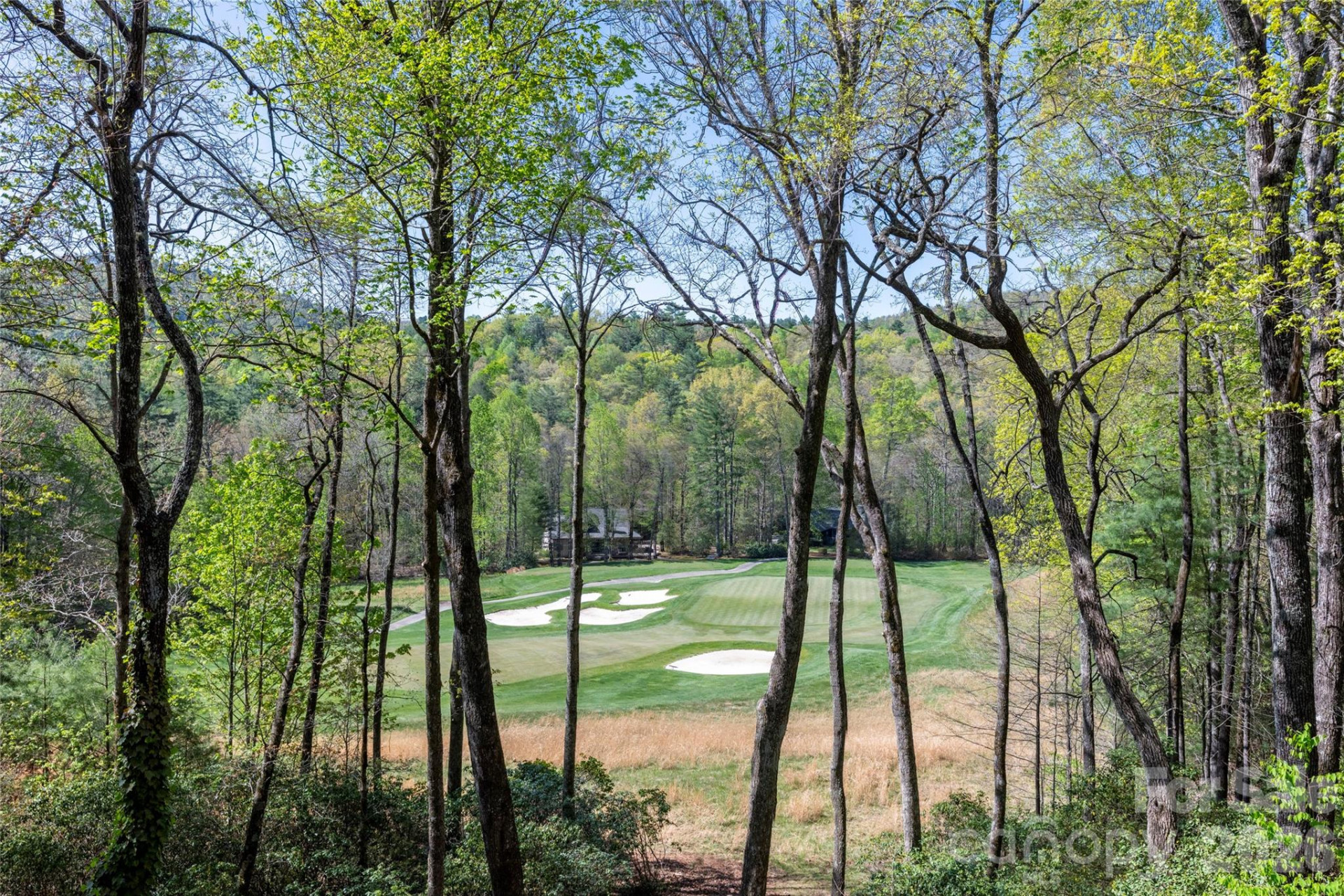 516 Cherokee Trace - Photo 30