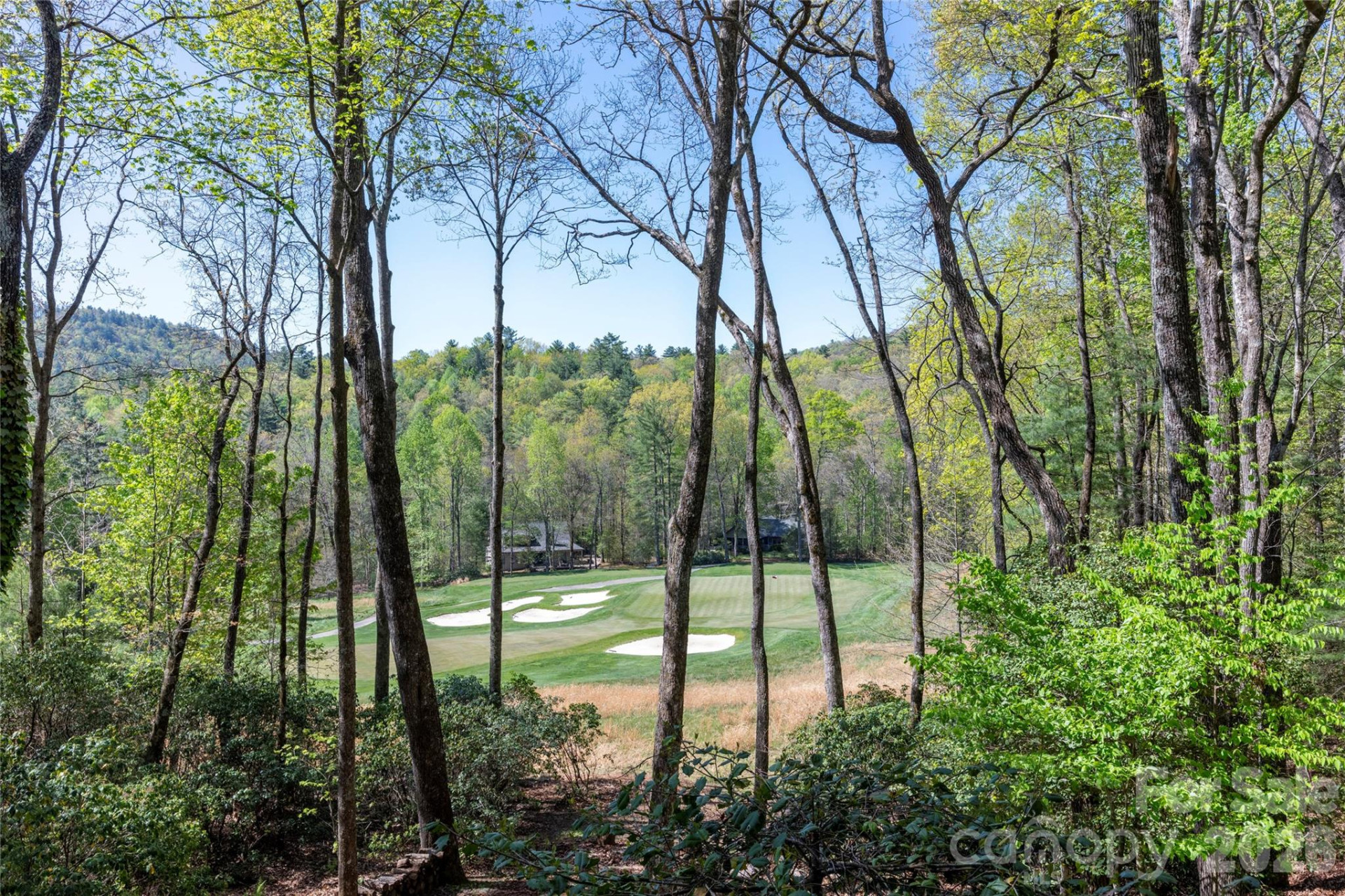 516 Cherokee Trace - Photo 39