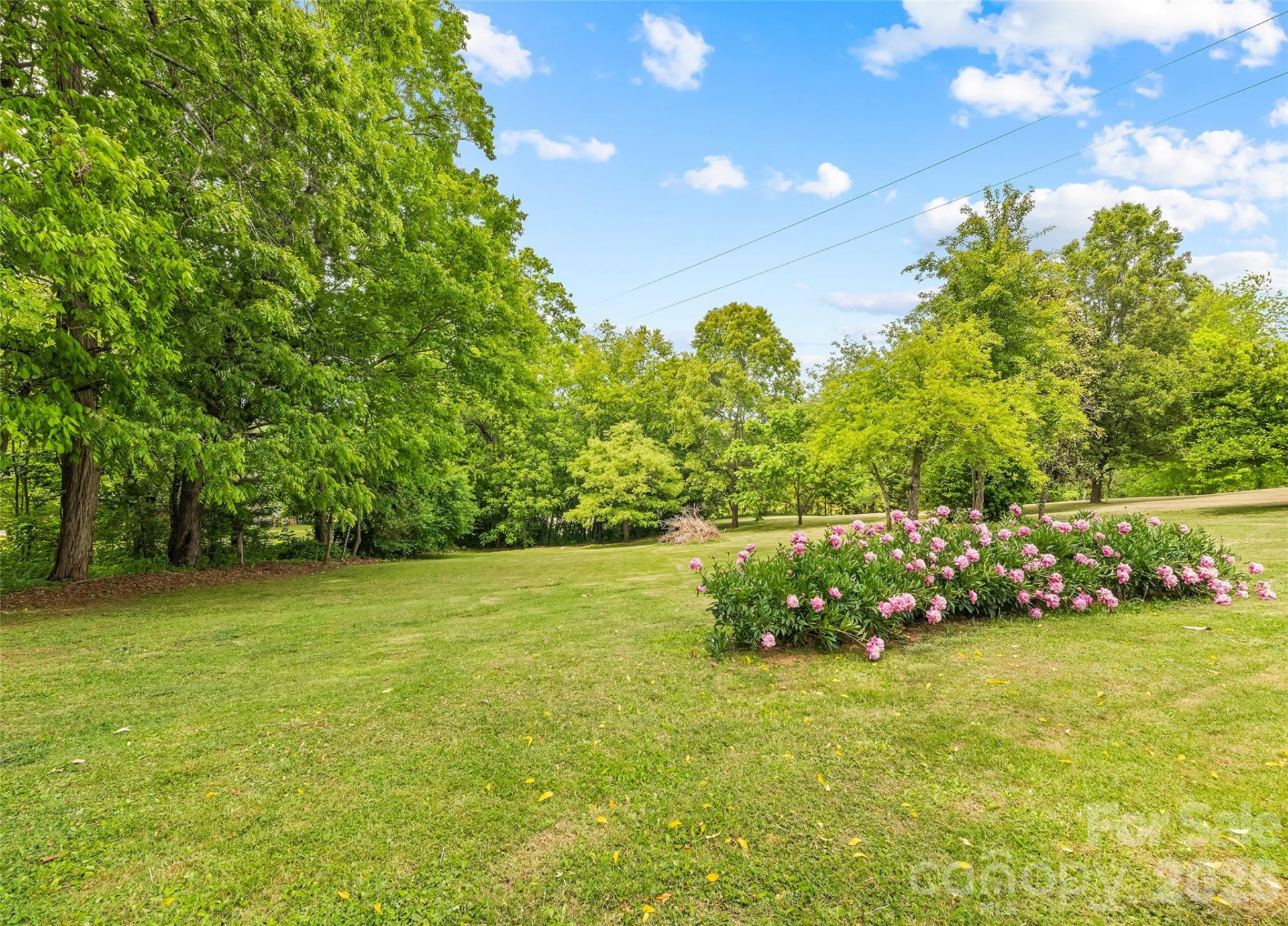 17 King Drive - Photo 29