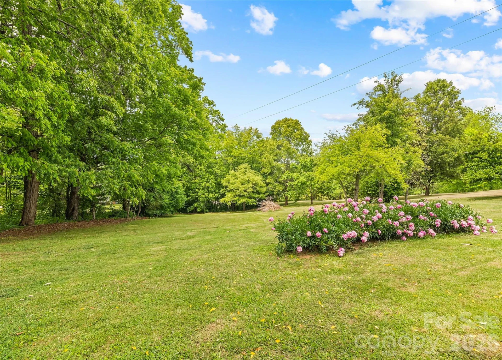 17 King Drive - Photo 29