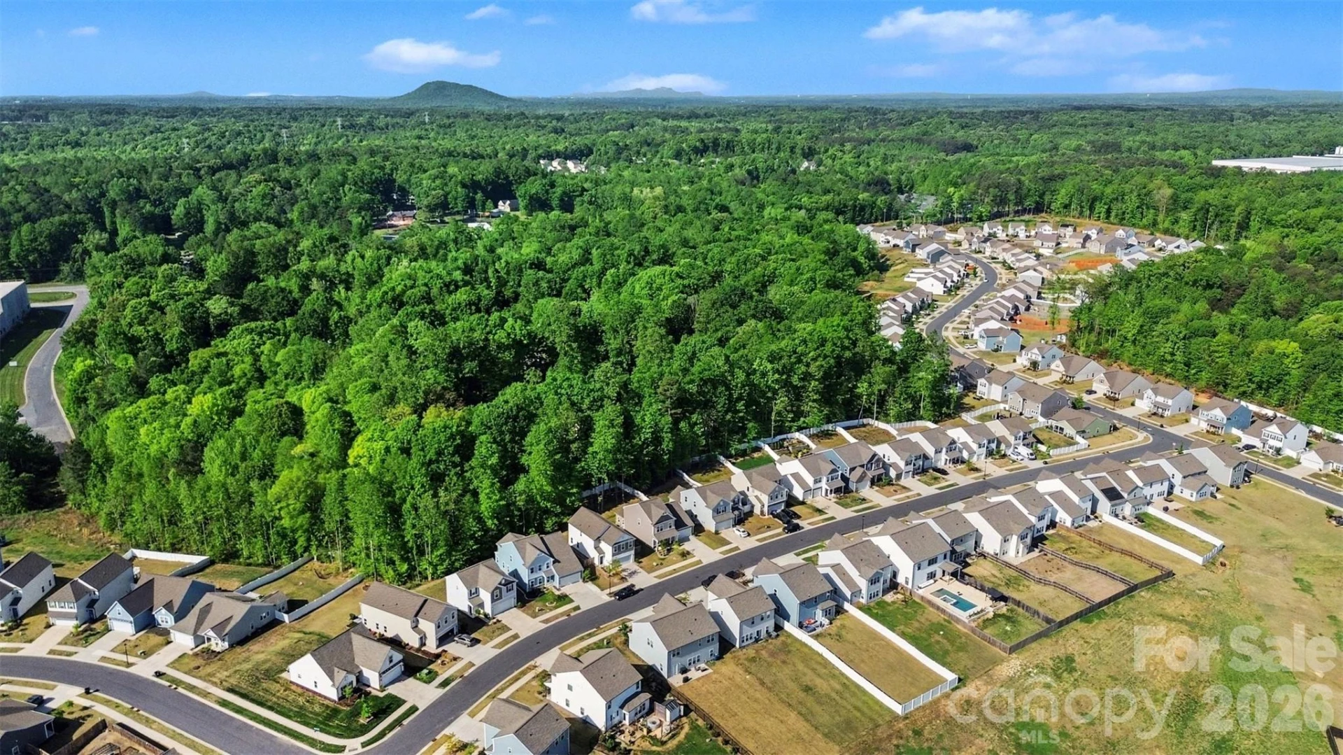 3024 Pinehills Way - Photo 29