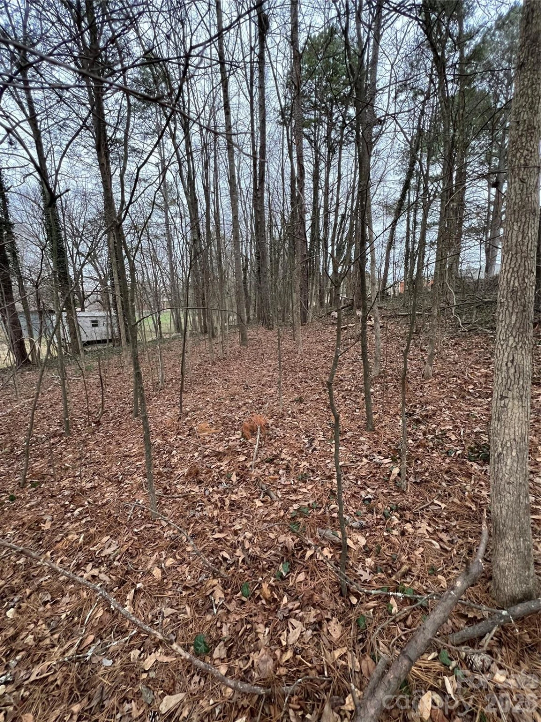 0 Singlewood Road - Photo 2