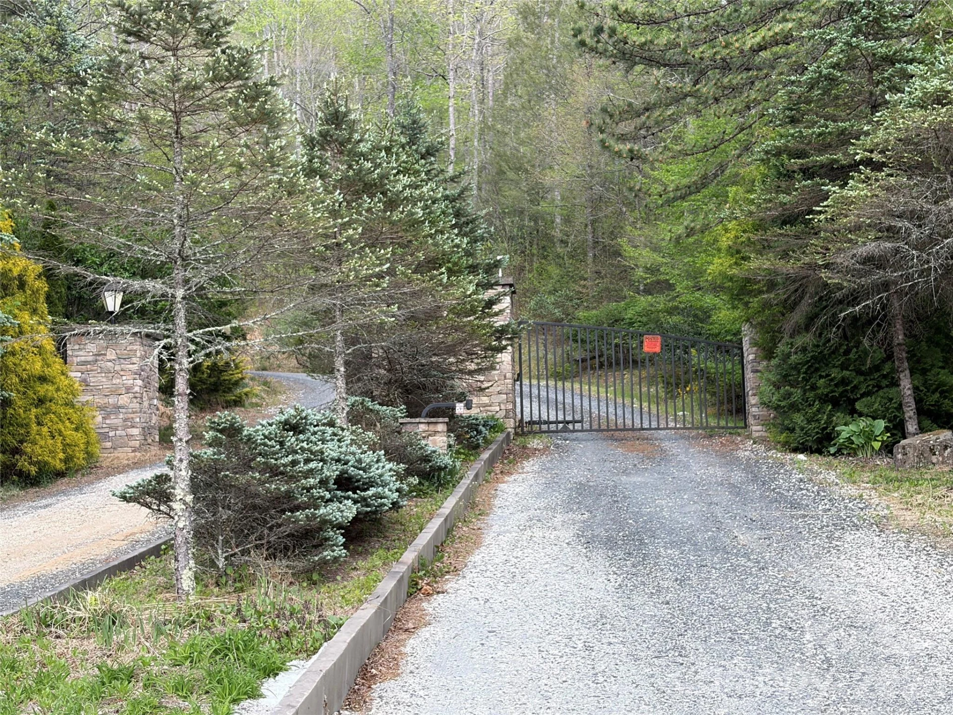 000 Mt. Mitchell Drive - Photo 2