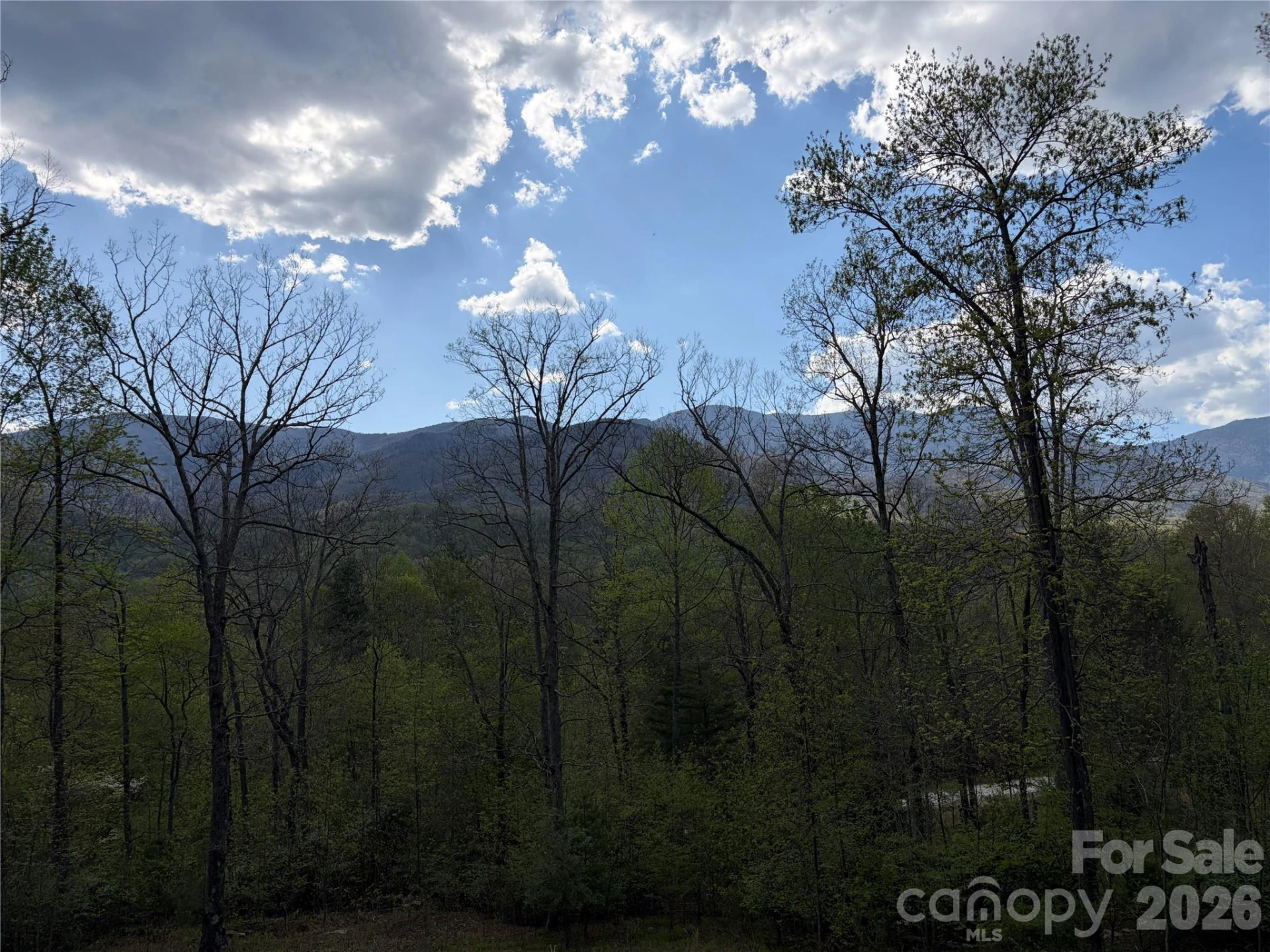000 Mt. Mitchell Drive - Photo 11