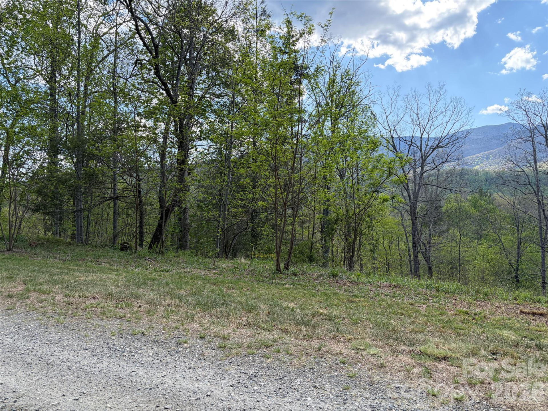 000 Mt. Mitchell Drive - Photo 3
