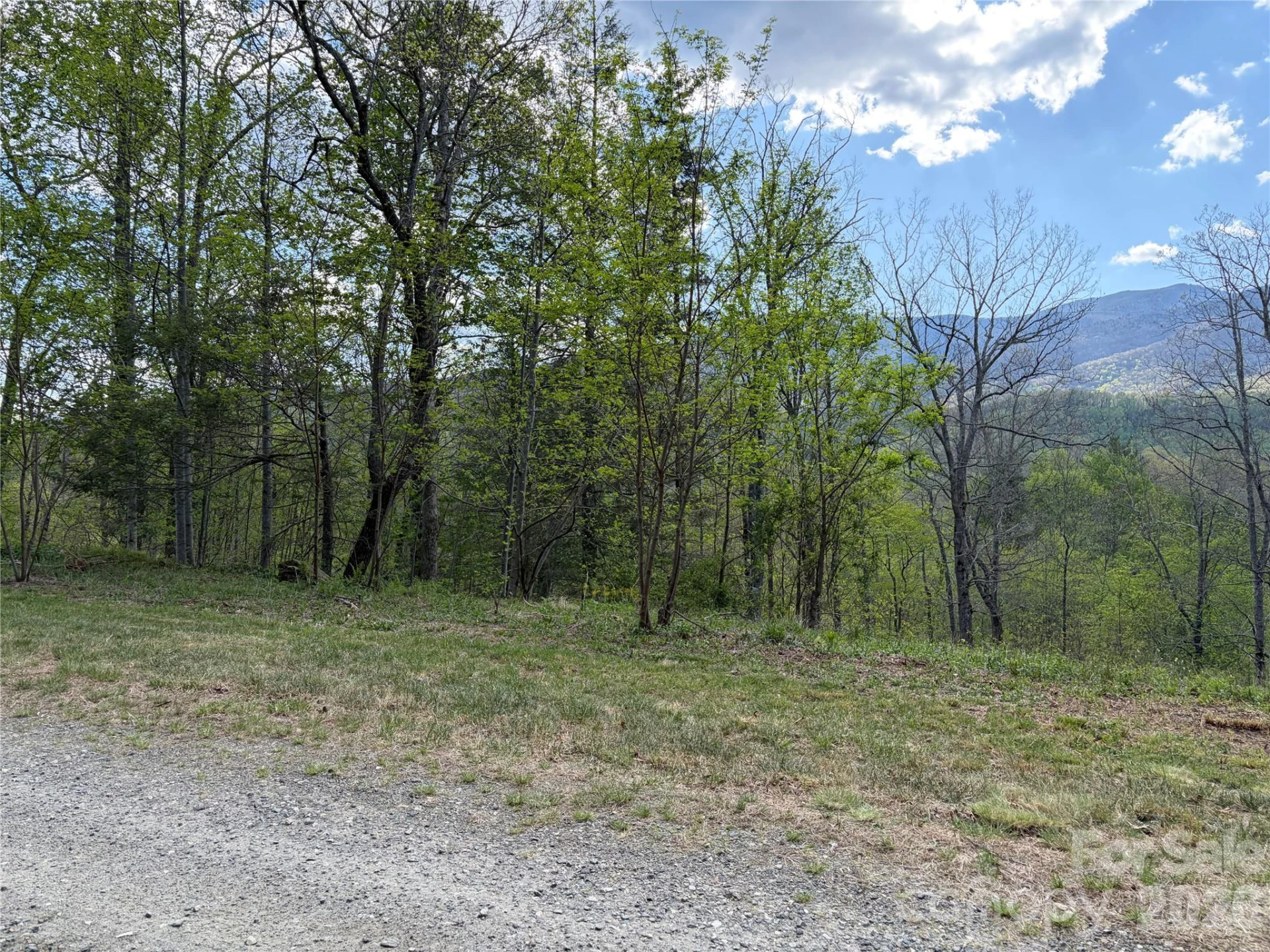 000 Mt. Mitchell Drive - Photo 3