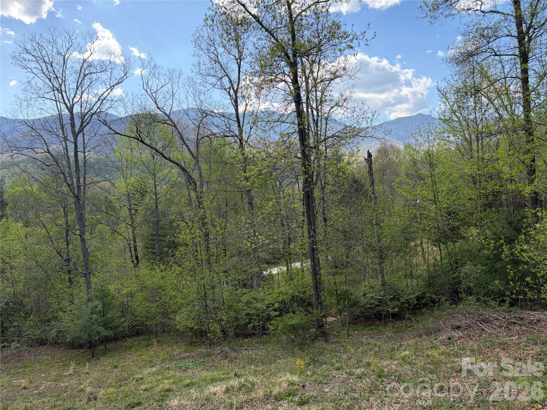000 Mt. Mitchell Drive - Photo 4
