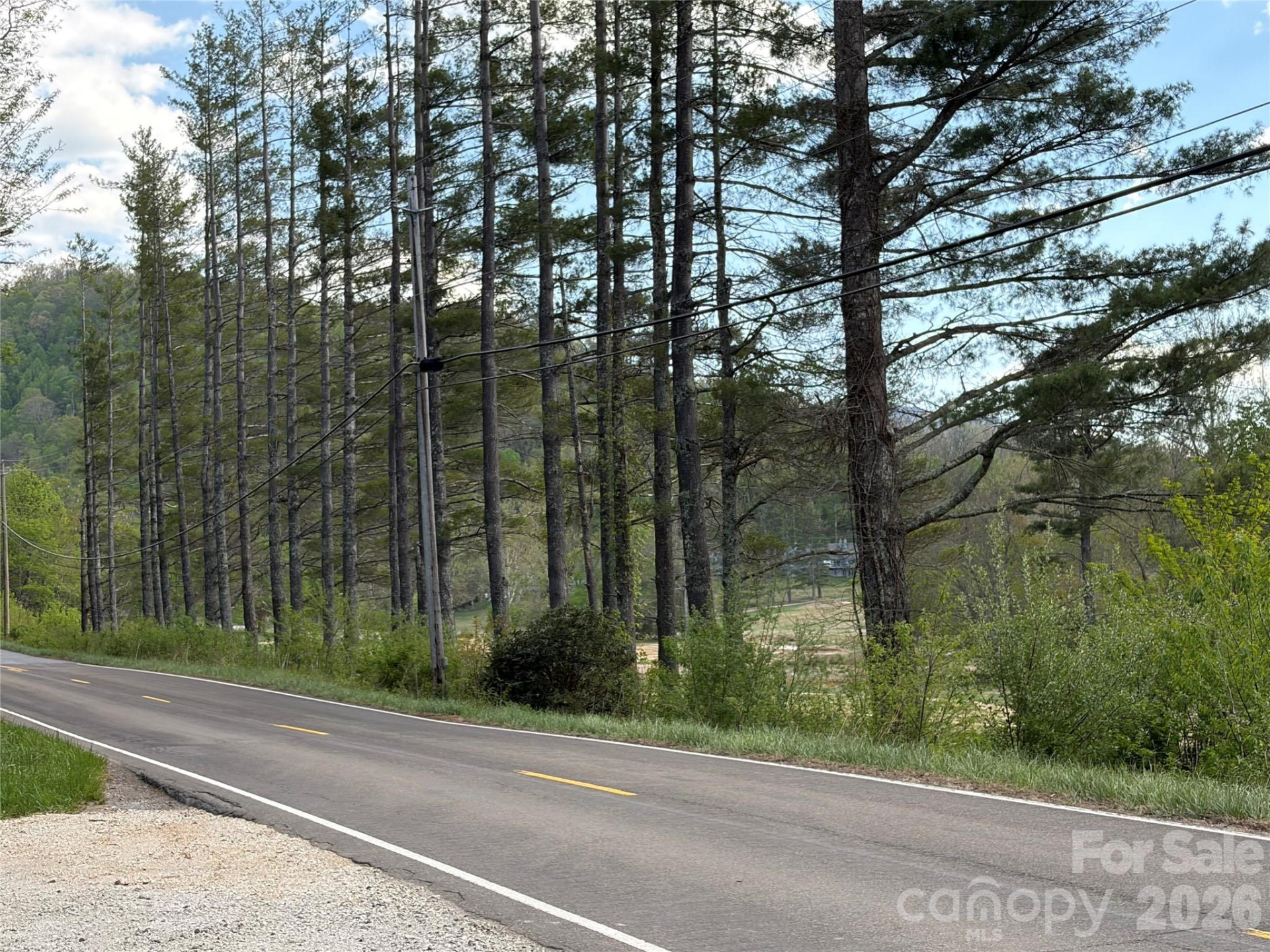 000 Mt. Mitchell Drive - Photo 5
