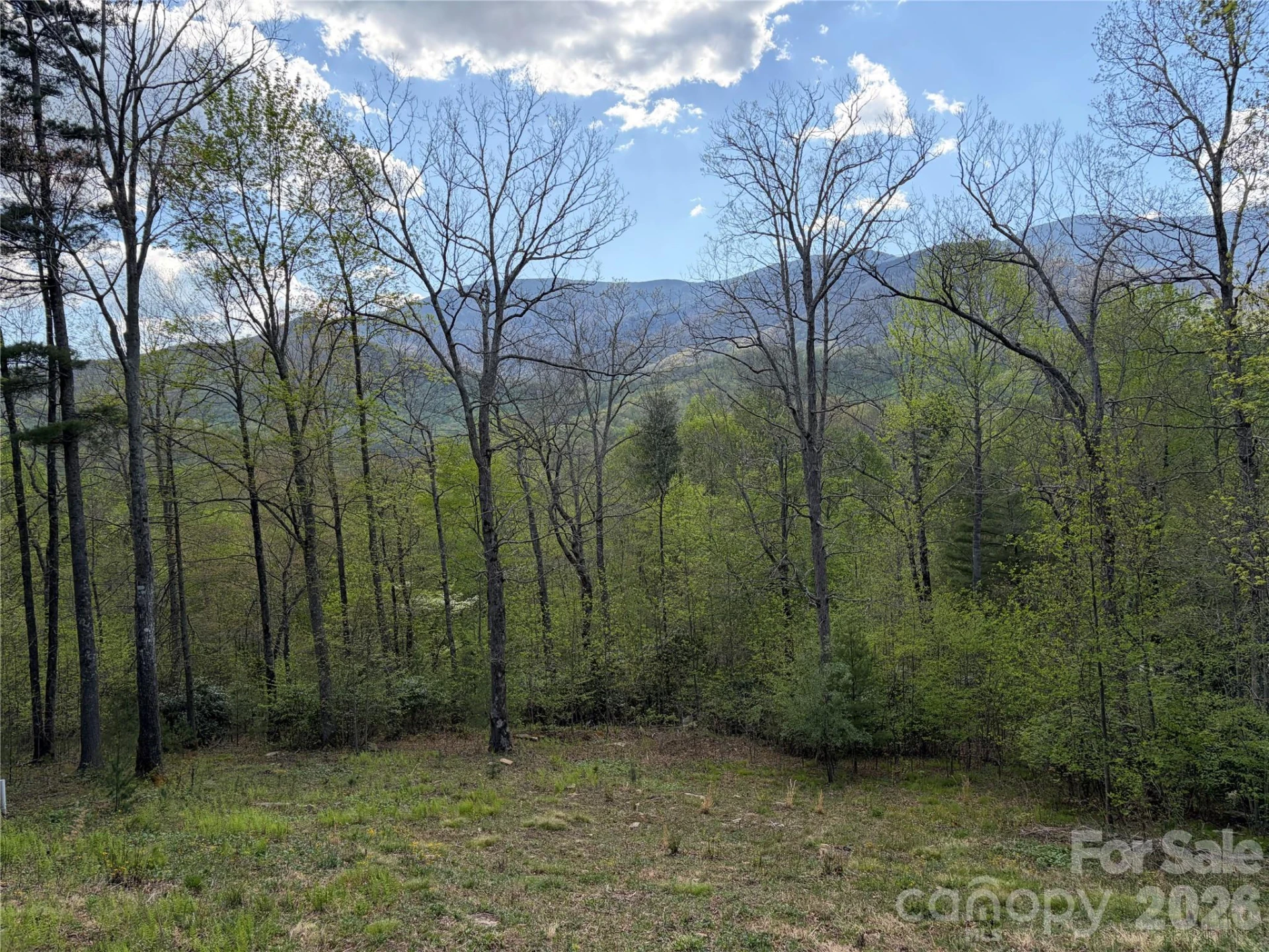 000 Mt. Mitchell Drive - Photo 6