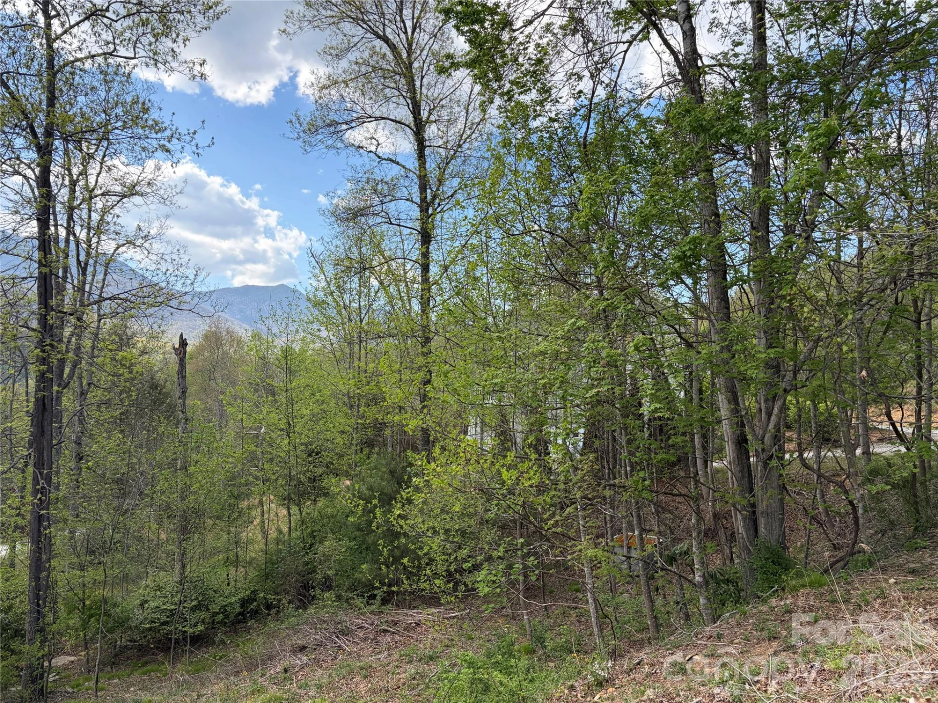 000 Mt. Mitchell Drive - Photo 7