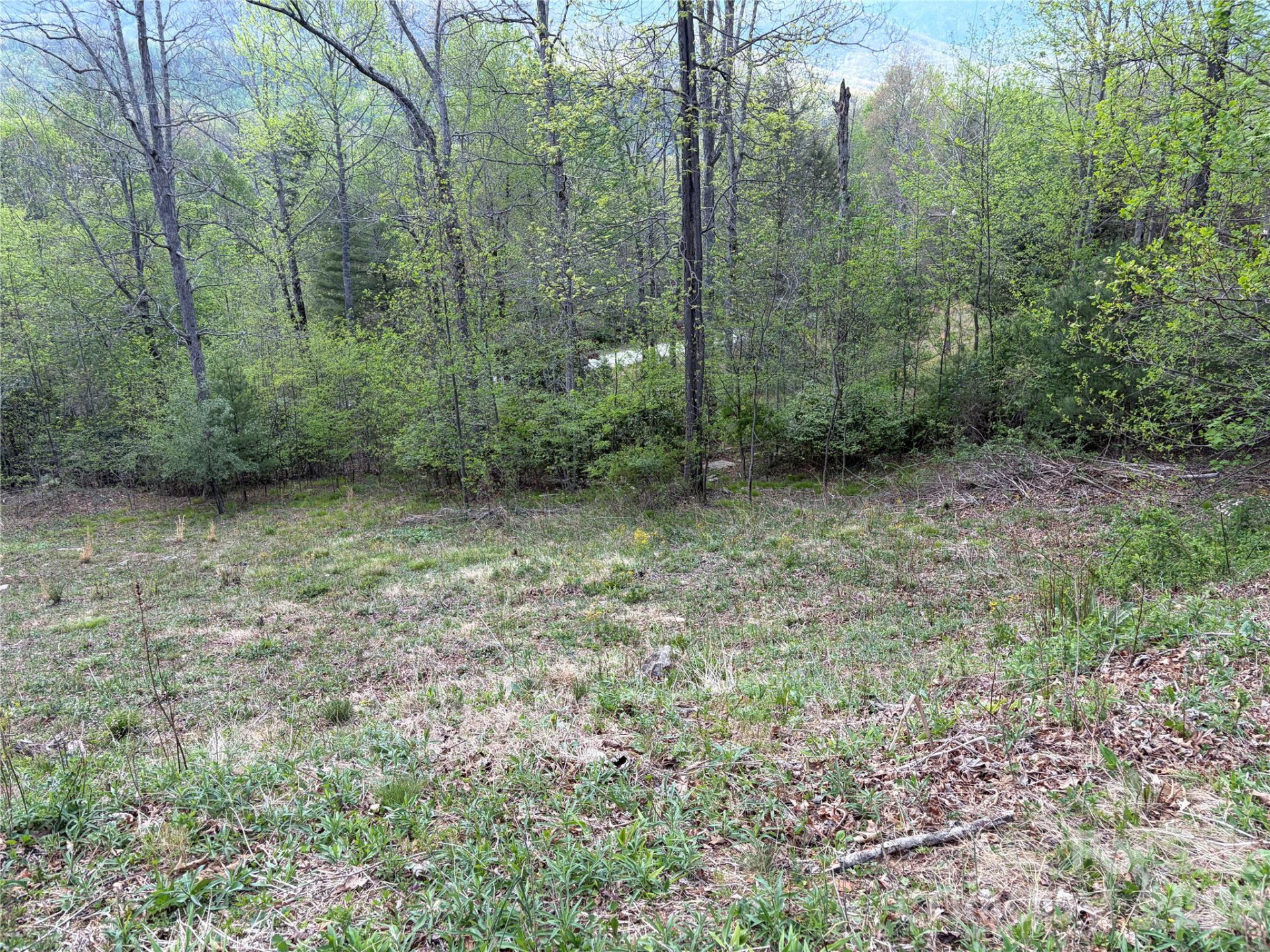000 Mt. Mitchell Drive - Photo 9