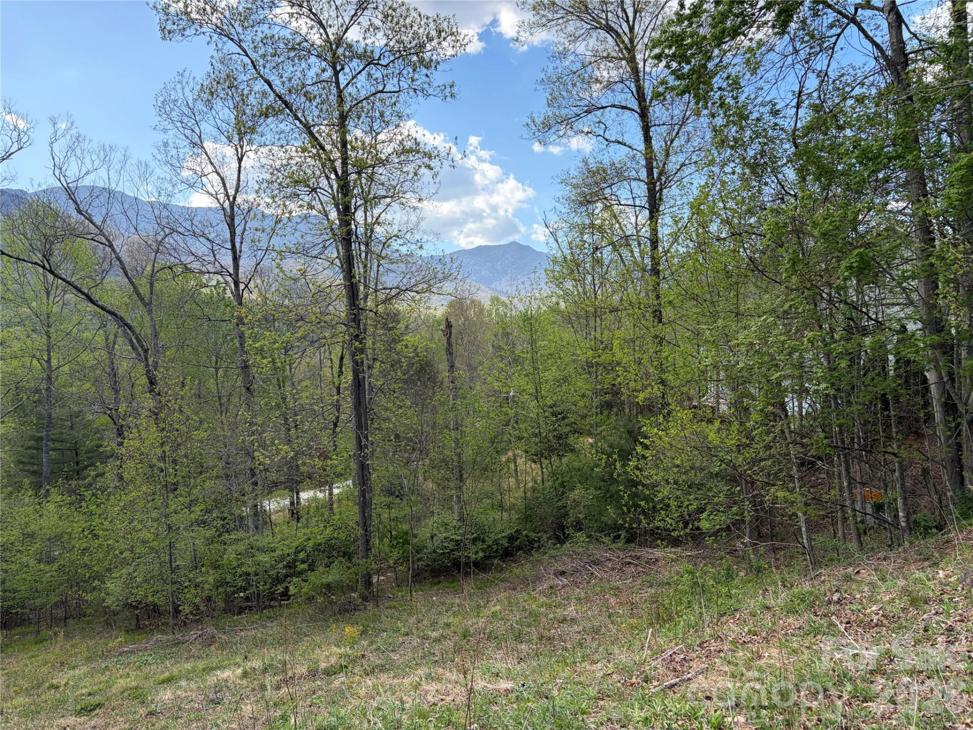 000 Mt. Mitchell Drive - Photo 10