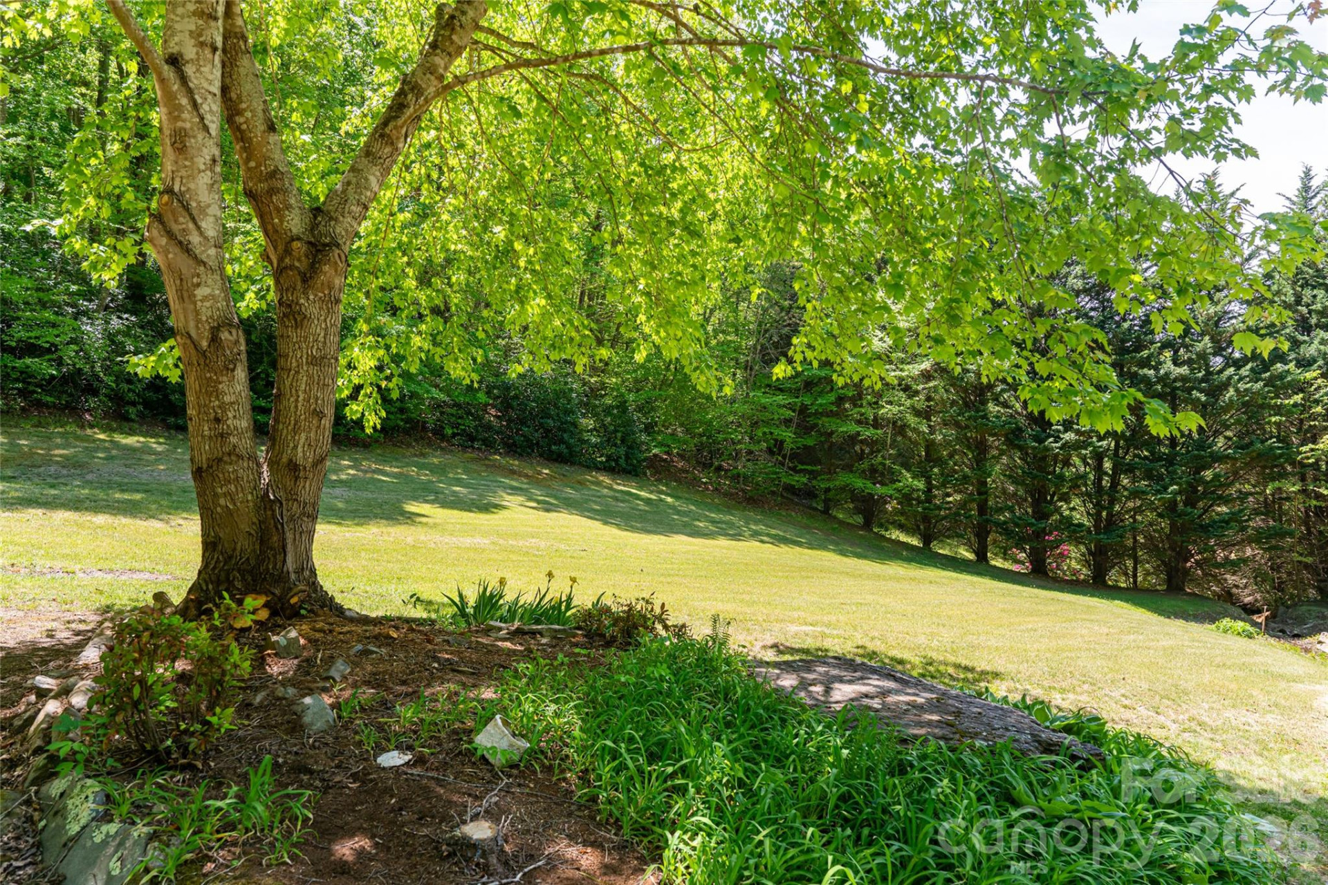 224 Seasons Drive - Photo 36