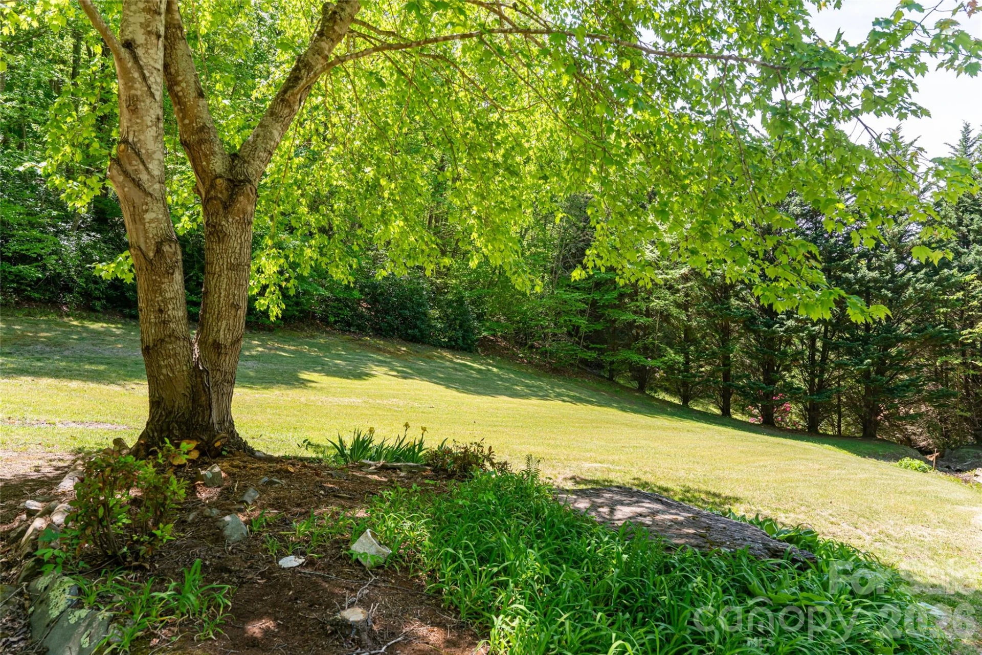224 Seasons Drive - Photo 36