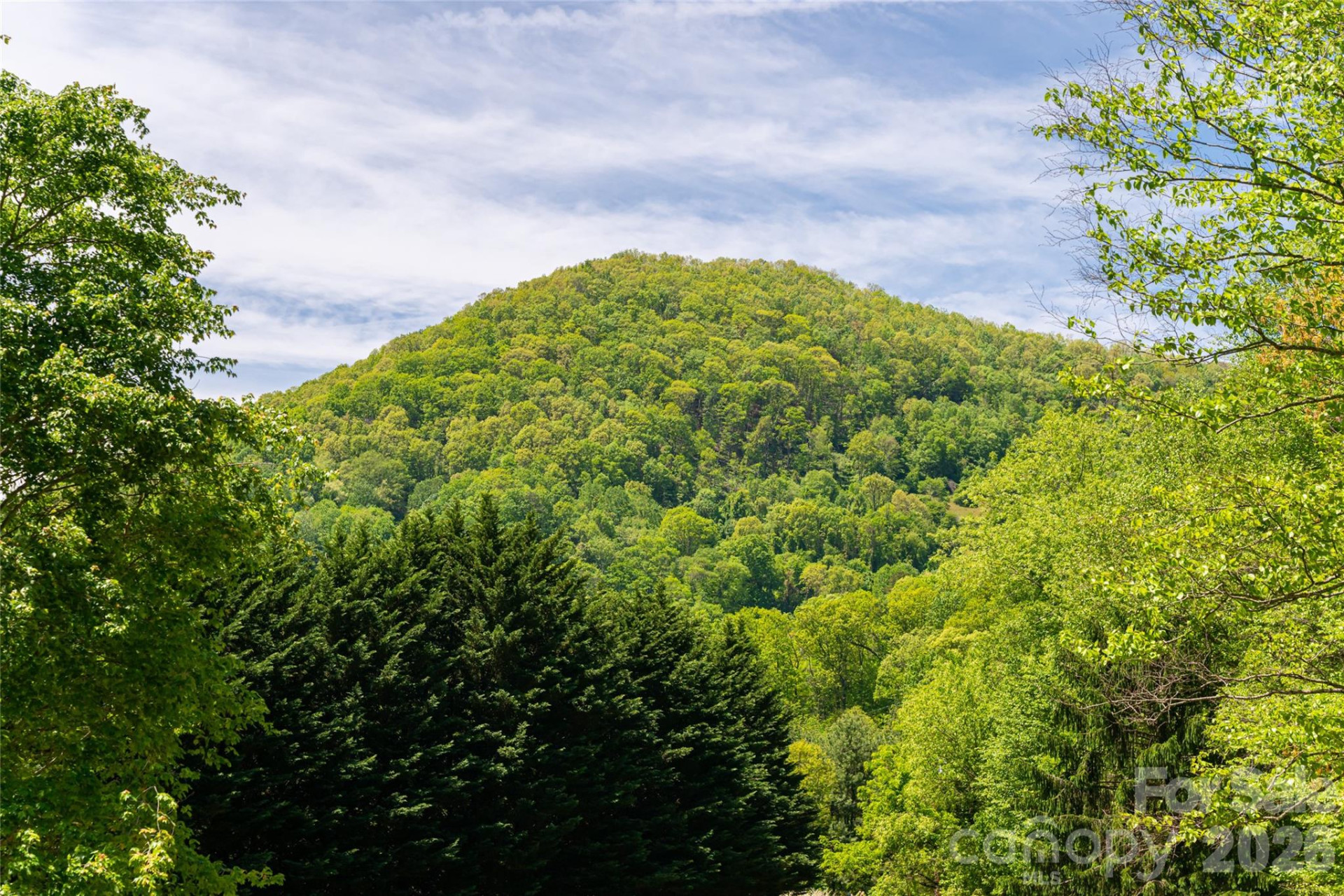 224 Seasons Drive - Photo 42