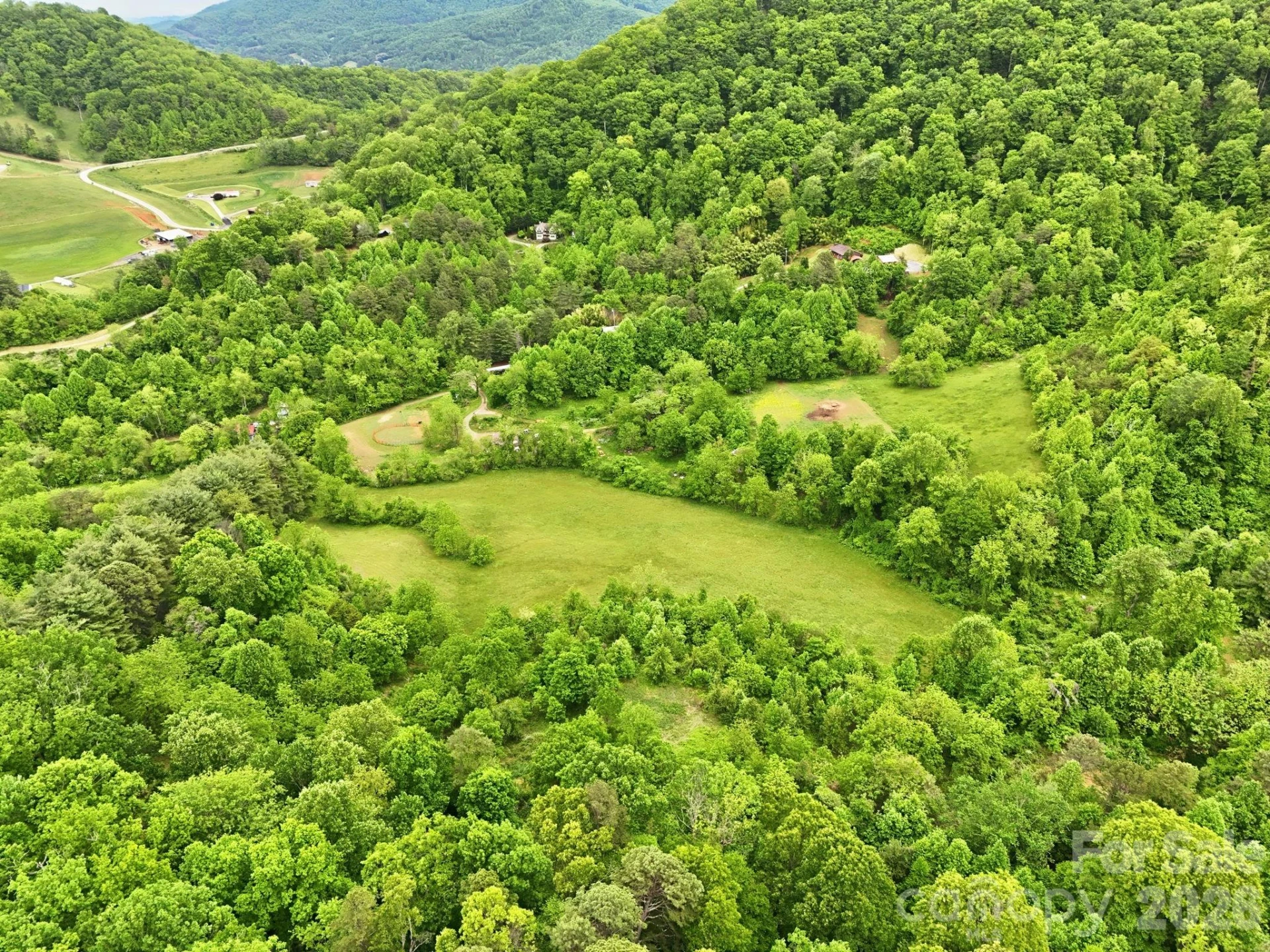 250 Potato Branch Road - Photo 42