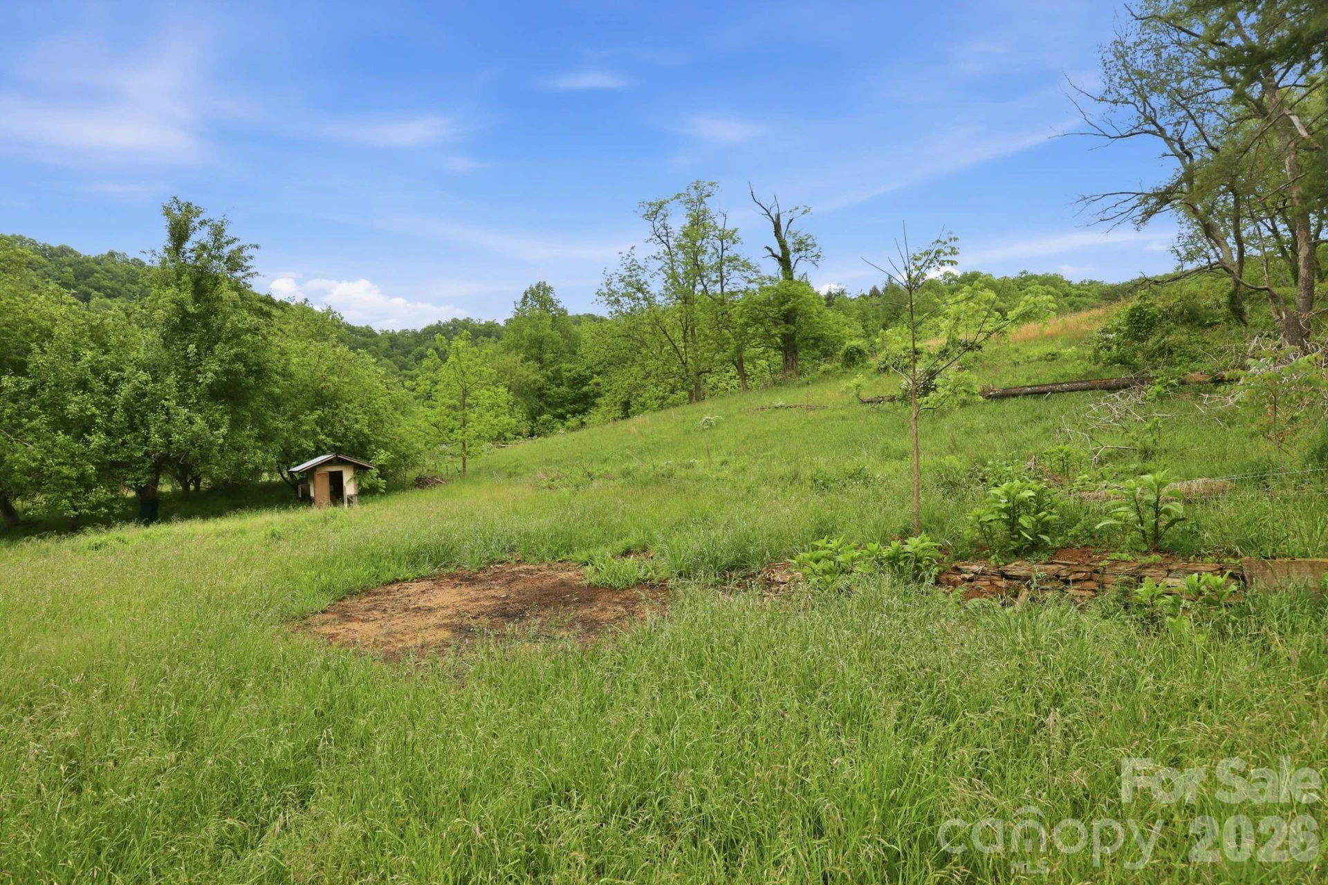 250 Potato Branch Road - Photo 44