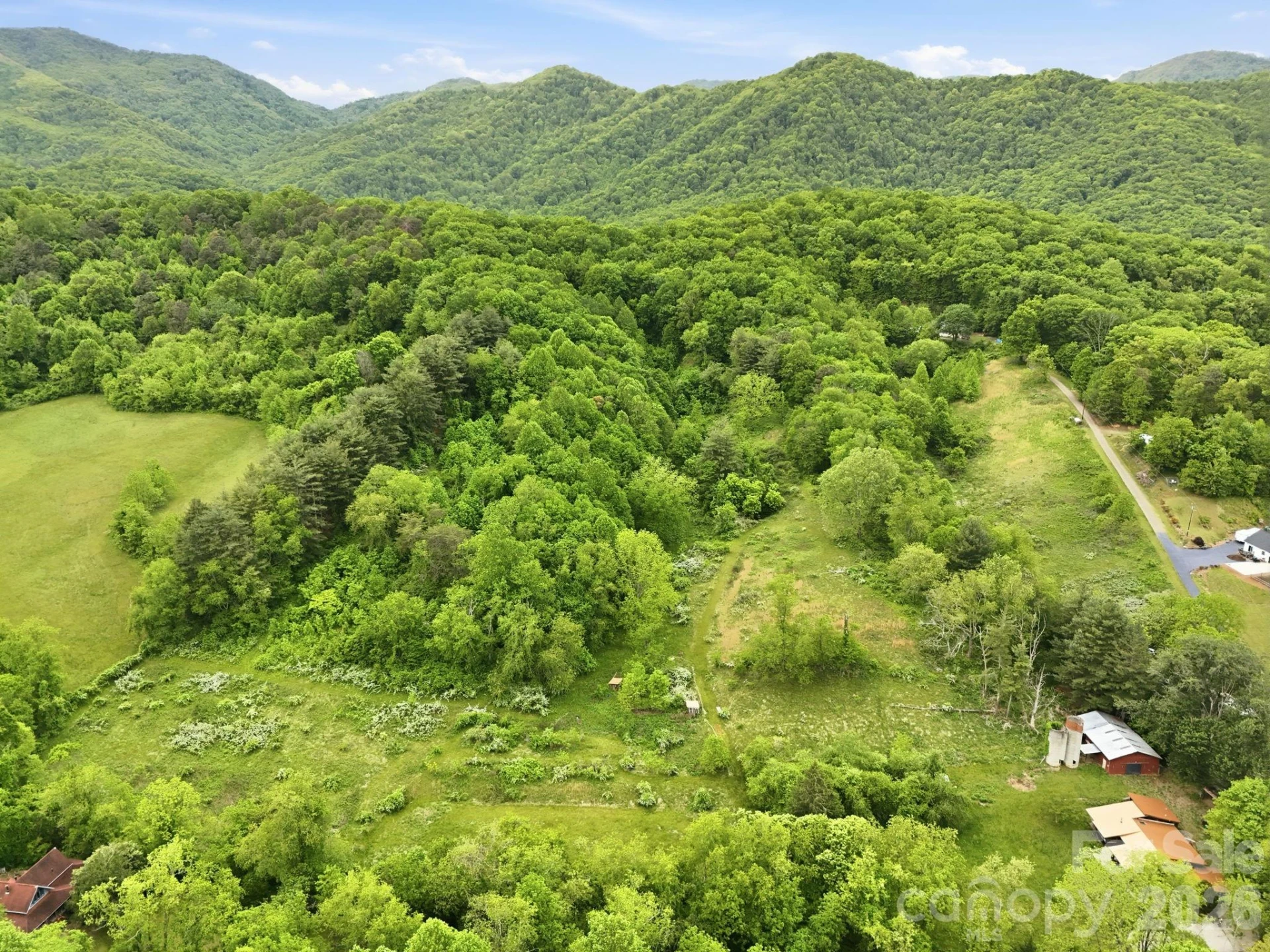 250 Potato Branch Road - Photo 45