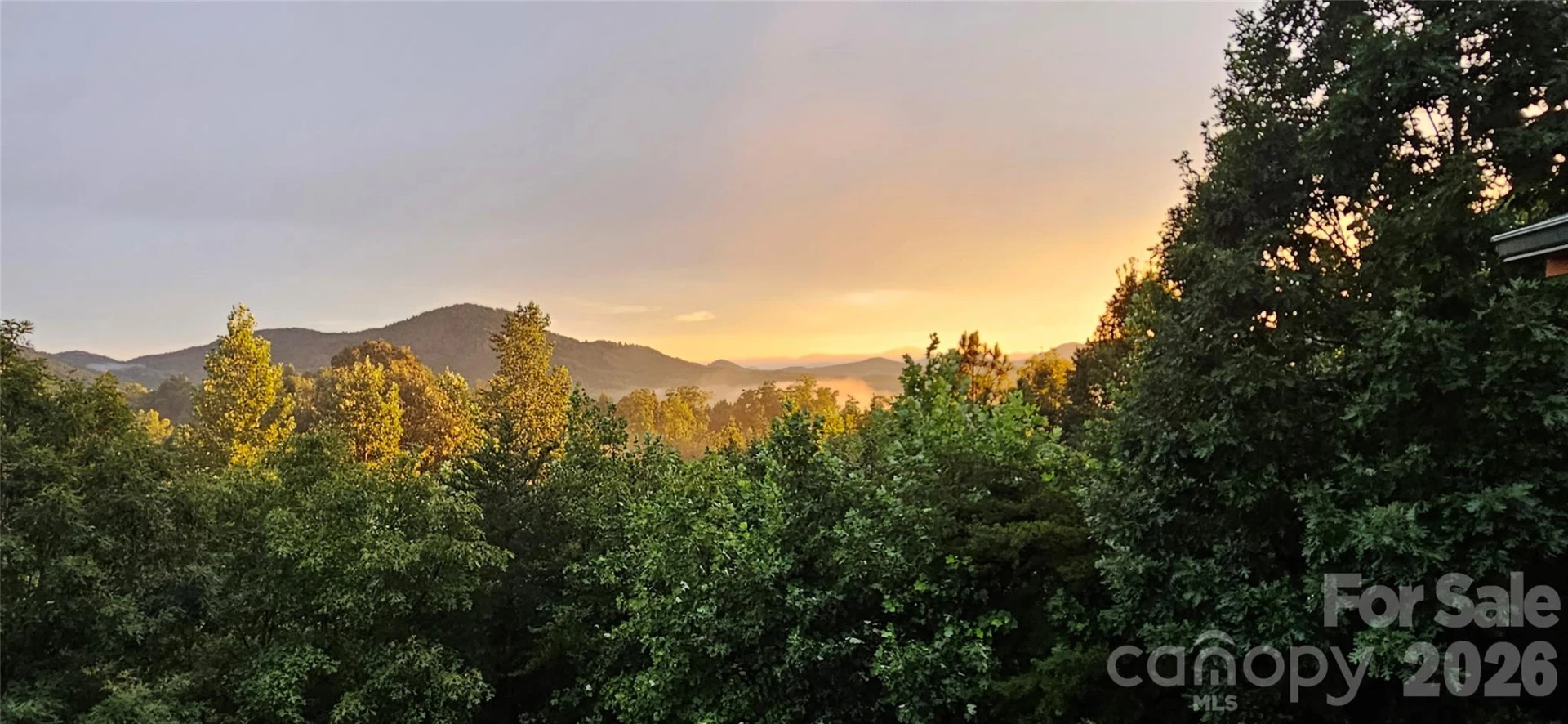 53 Osprey Lane - Photo 9
