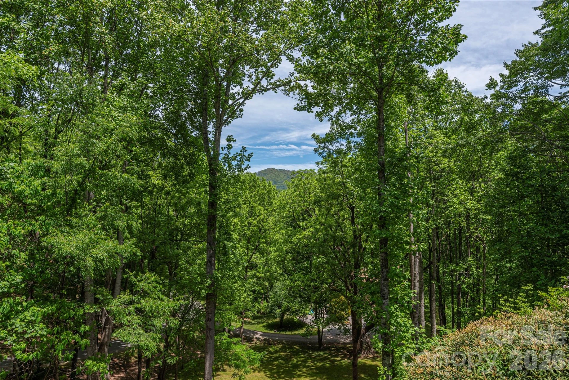 1551 Walnut Creek Road - Photo 33